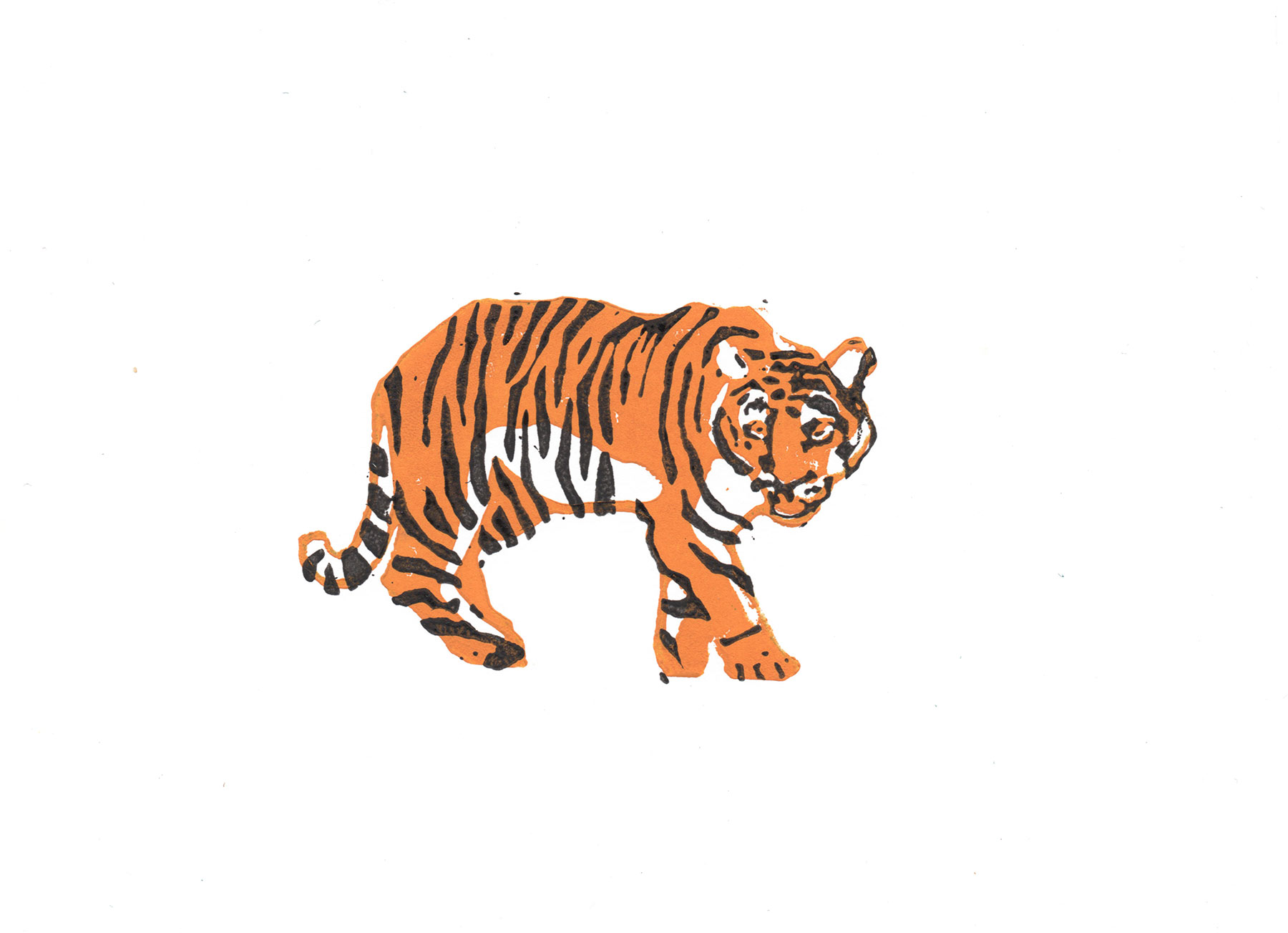 tijger_liselot.jpg