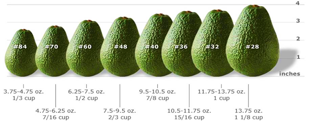Авокадо Хаас вес 1 шт. Вес 1 авокадо без косточки. Авокадо вес 1 шт без косточки. Вес авокадо 1 шт. Сколько весит авокадо без кожуры и косточки