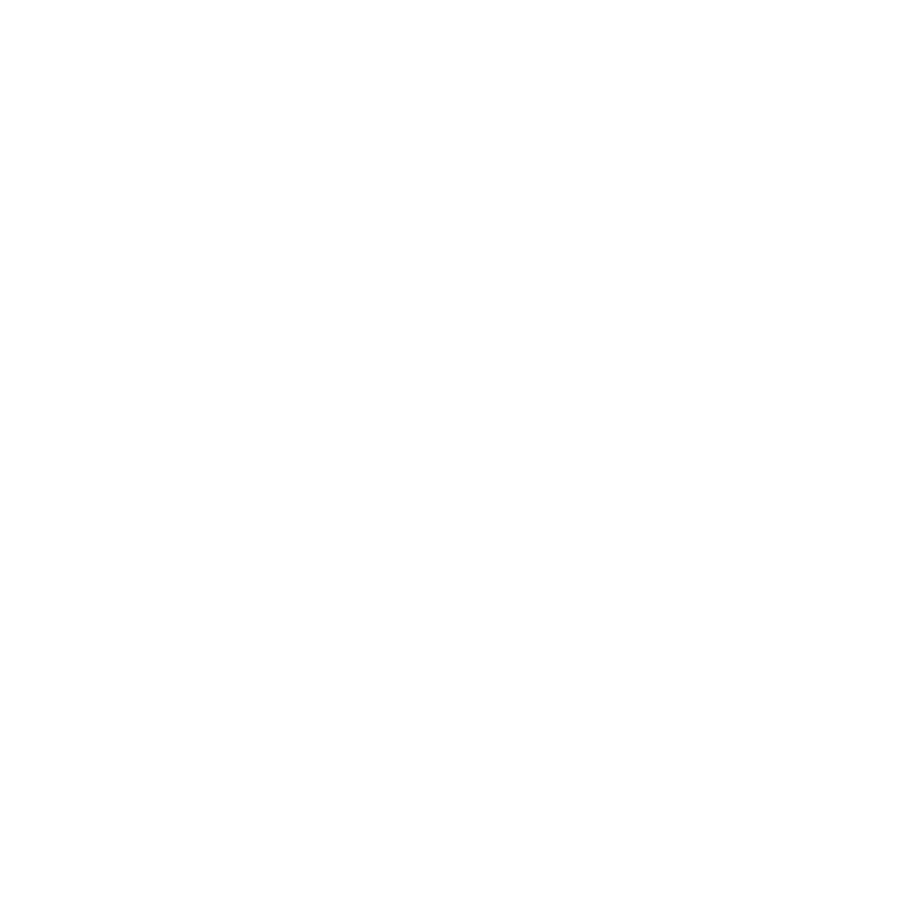 Salt Flow_logo.png