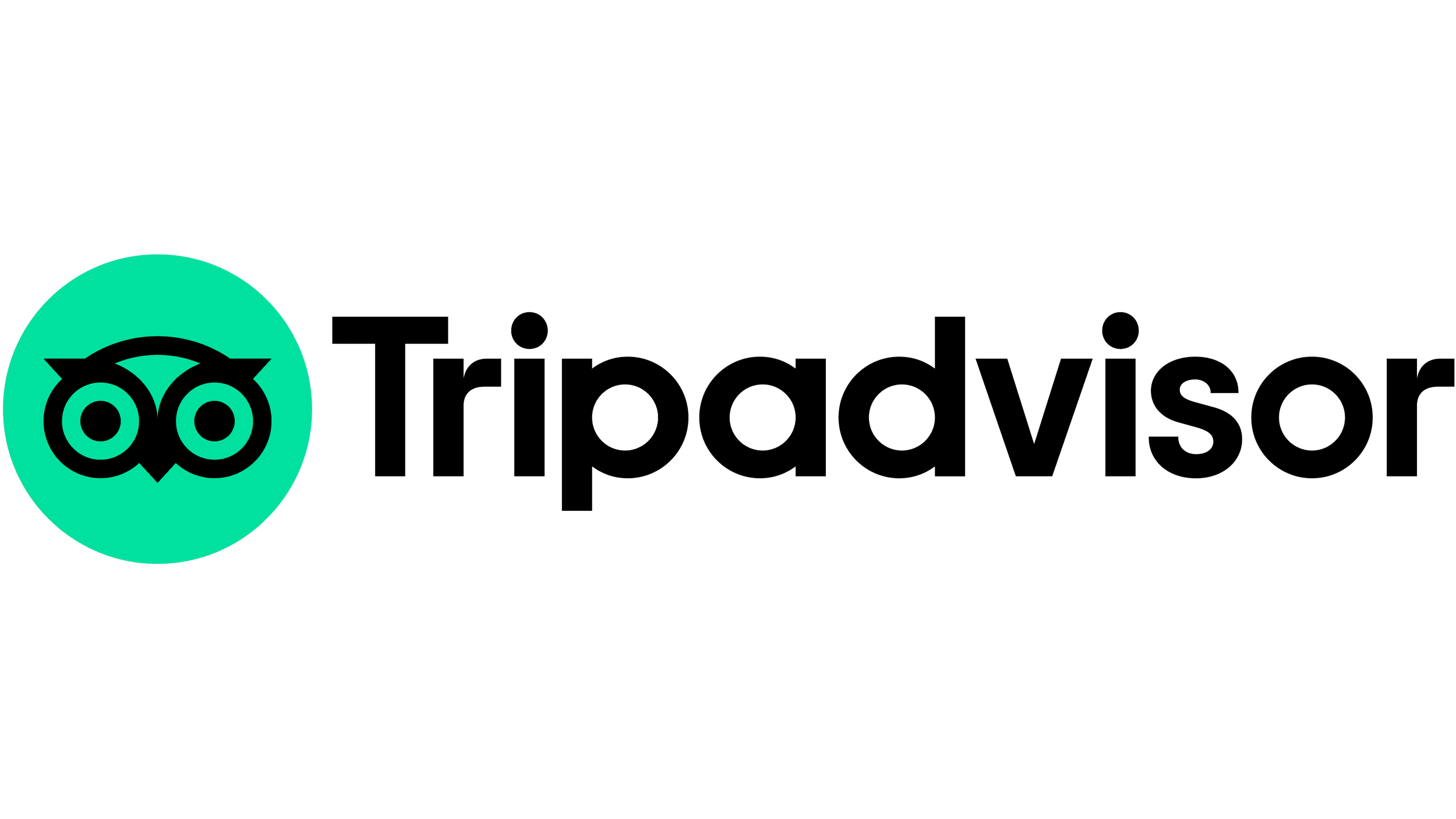 Tripadvisor-Logo.png