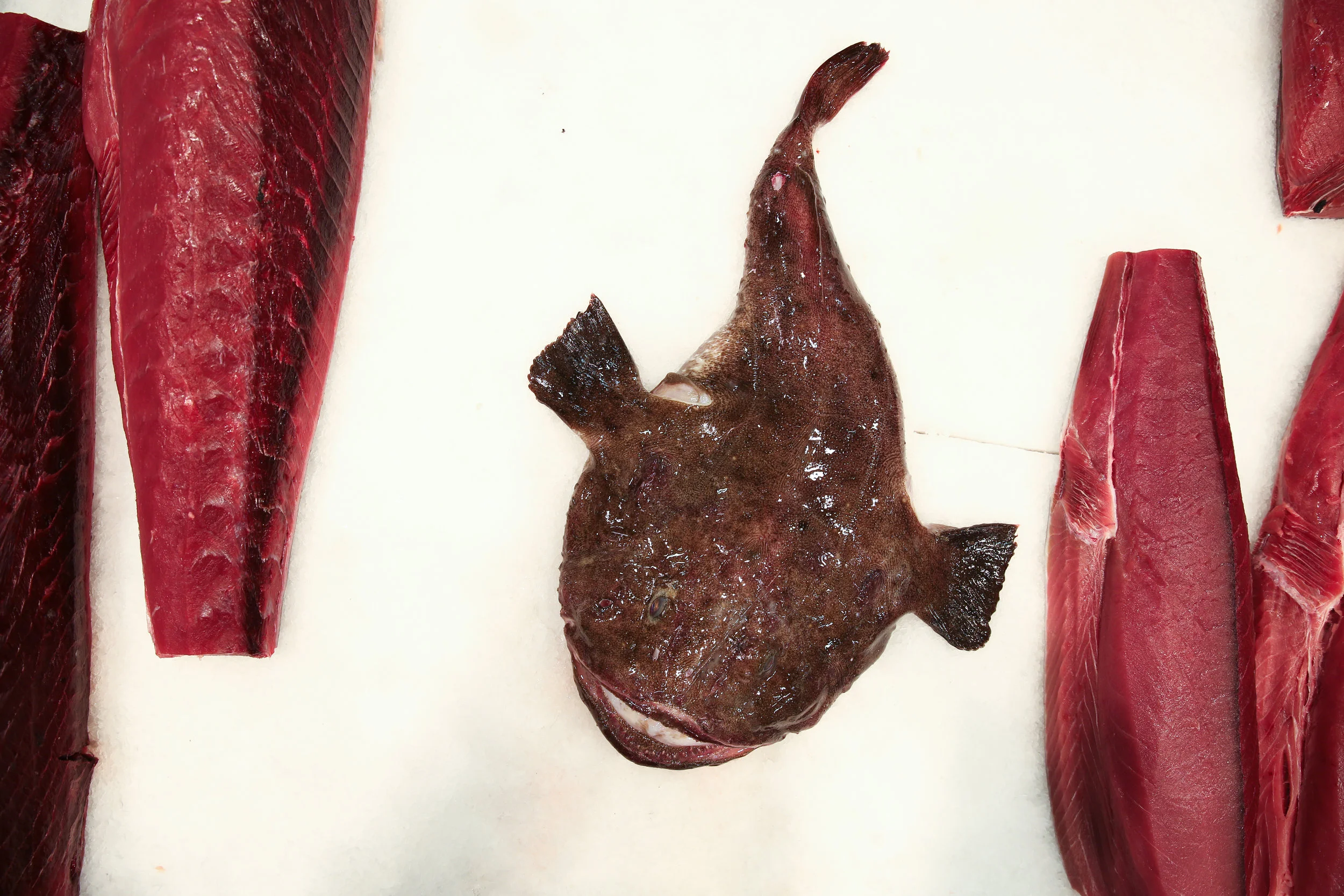 Products — Blue Ribbon Fish