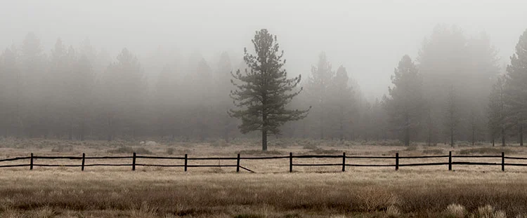 treat-laguna-meadow-07.jpg