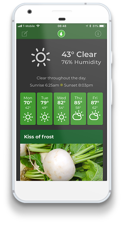 beta-app-home-in-phone-sm.png