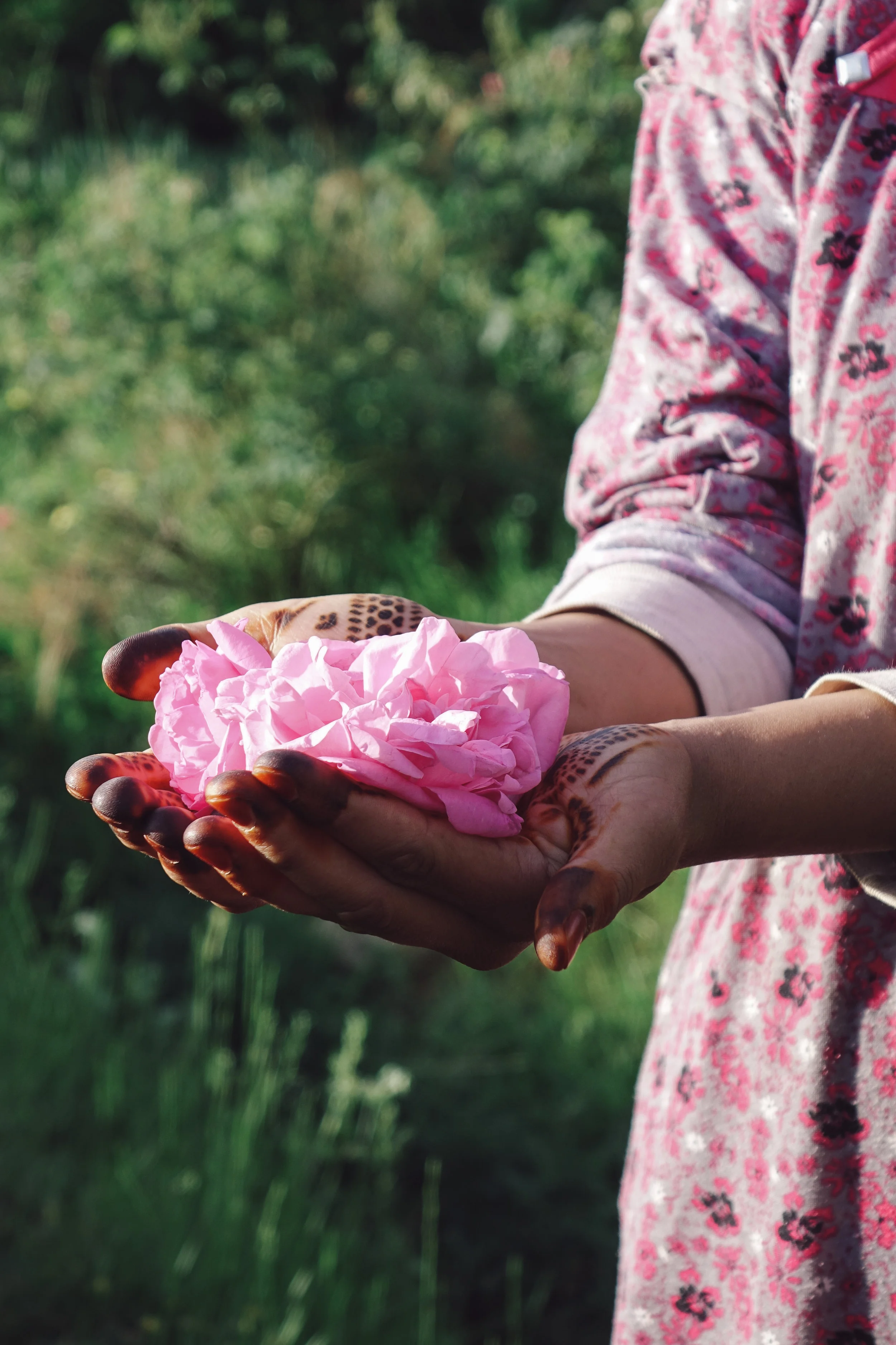 DSC04053-VSCO3.jpg
