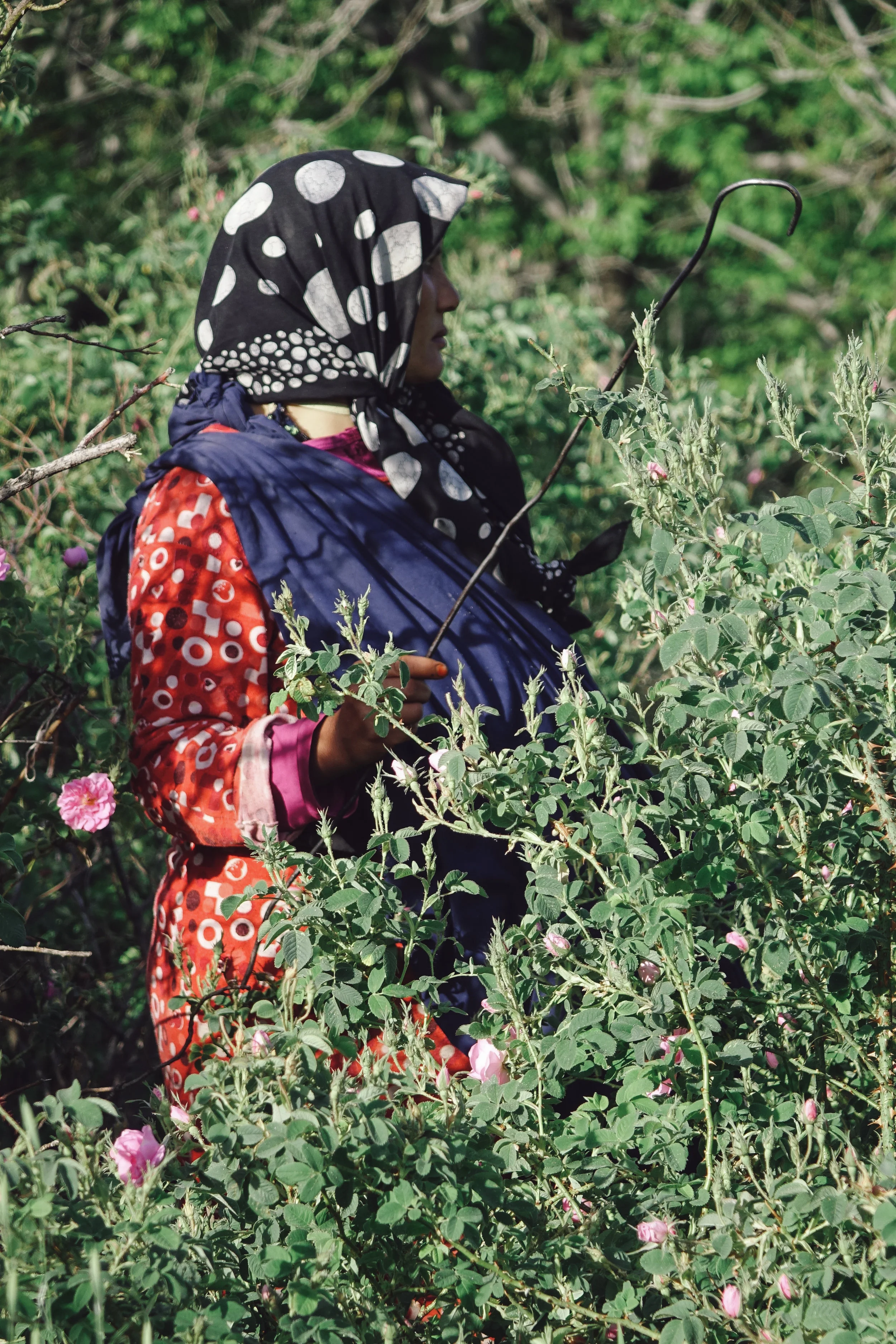 DSC04148-VSCO8.jpg