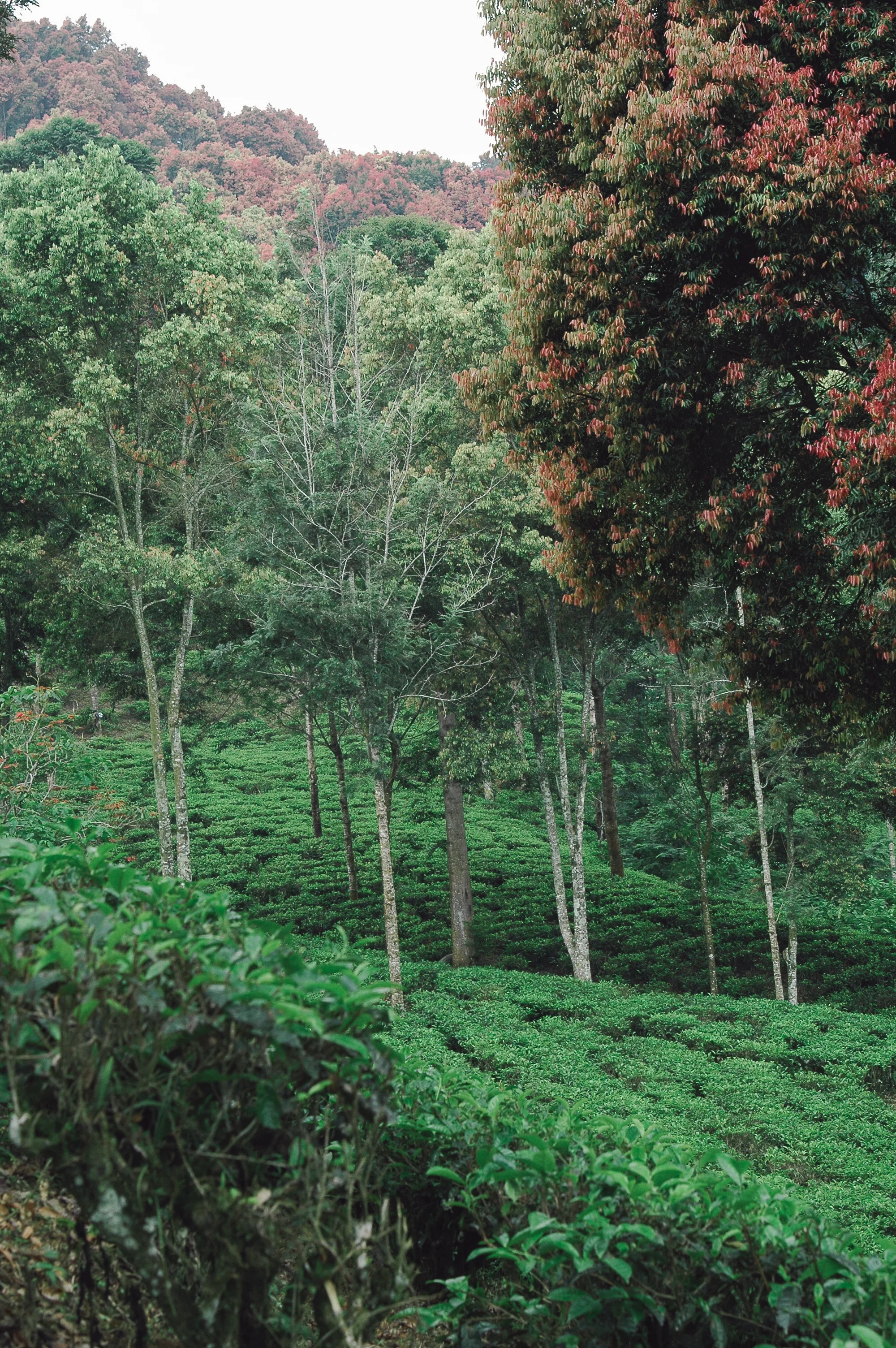 DSC_0881_vsco.jpg