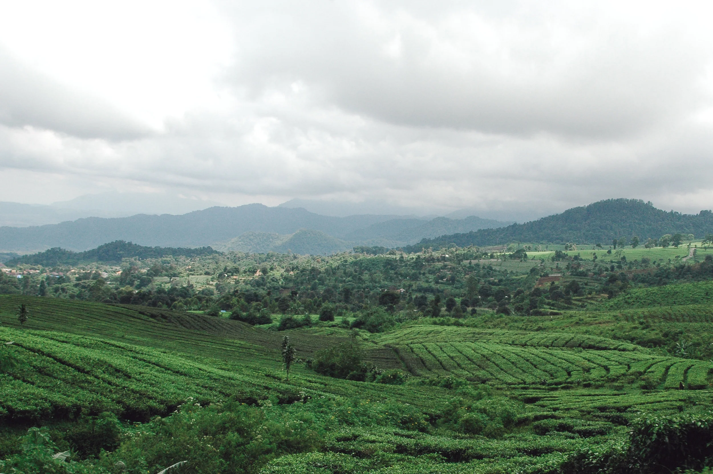 DSC_0154_R_vsco.jpg
