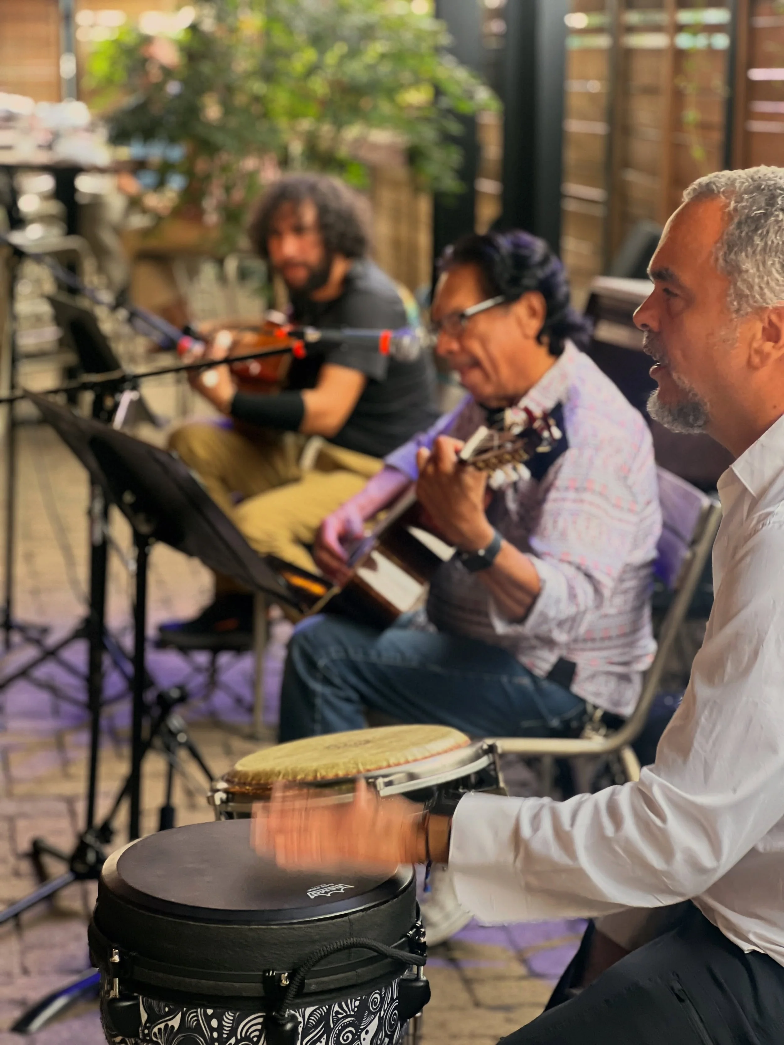 Sunday sounds better on the patio. @radiofreehonduras takes over Dawson City Limits today from 4&ndash;7pm. Live music, cold drinks, and summer in the courtyard. 🇭🇳 🥁 #dawsoncitylimits #livemusicchicago #radiofreehonduras