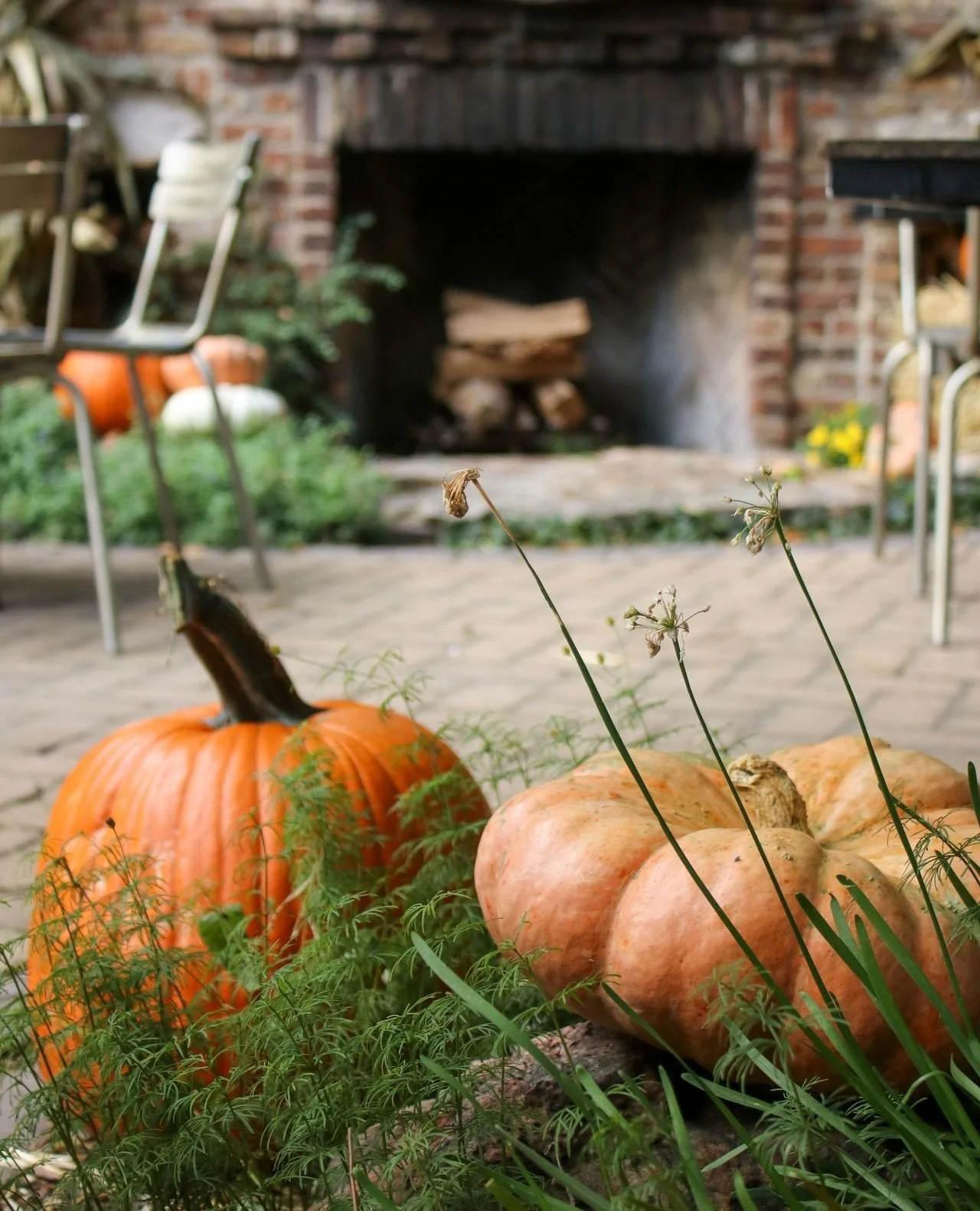 Happy first day of fall from The Dawson. 🍂⁠
⁠
We&rsquo;re ready for crisp Chicago days, changing leaves, and plenty of fall afternoons on the patio.⁠
⁠
#FirstDayOfFall #FallInChicago #ChicagoFall #AutumnInChicago #ChicagoPatio #PatioSeason #FallPati