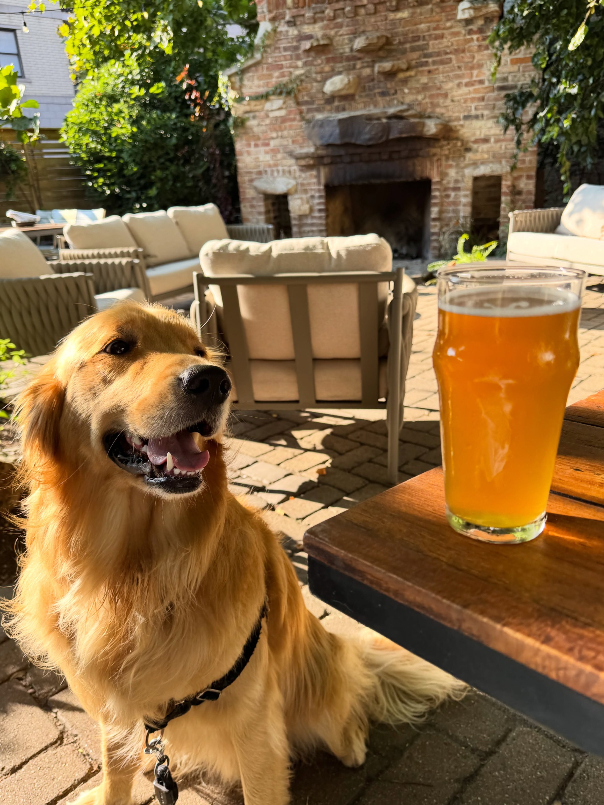 Sunday plans, found. ☀️🍺🐾

Cold beer, a sunny patio, and your favorite drinking buddy. Come spend the afternoon with us.
