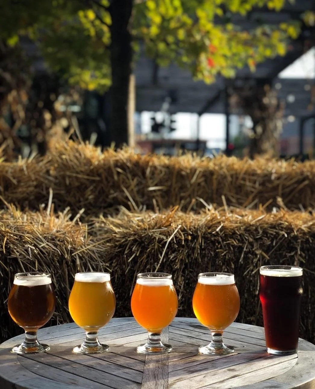 Consider this your sign to order another round. 🍻⁠
⁠
Oktoberfest is in full swing at The Dawson. Grab a beer, order a few specials, and raise a glass with us. Prost!⁠
⁠
#Oktoberfest #OktoberfestChicago #ChicagoOktoberfest #Prost #Beer #BeerLovers #C