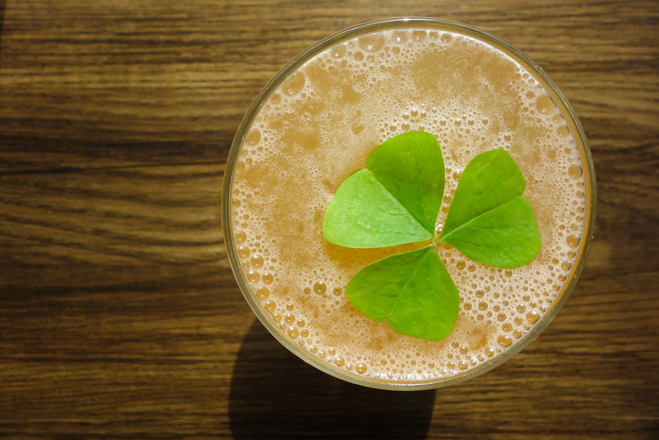 clover on a beer