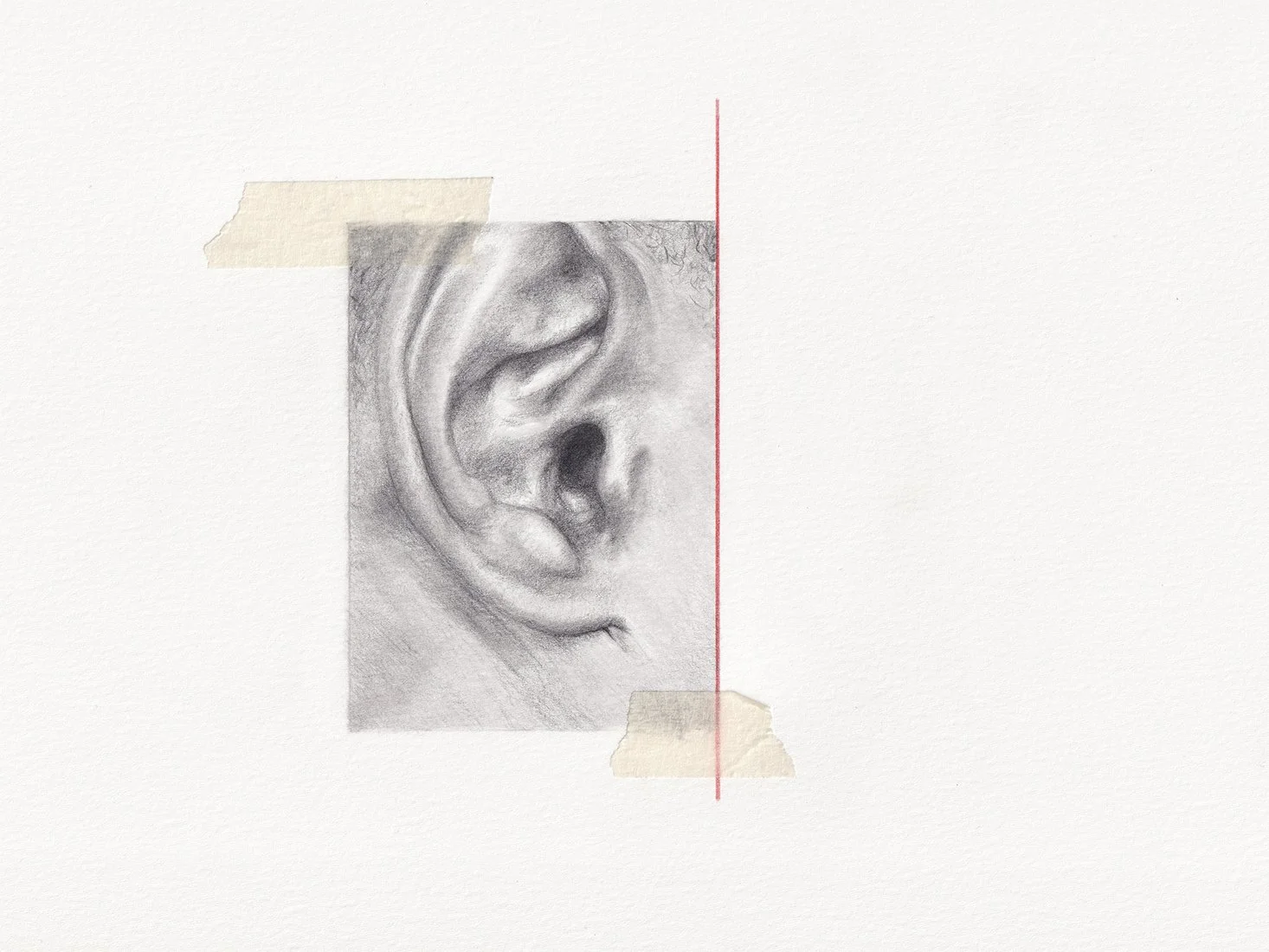 ear-anatomy.jpg