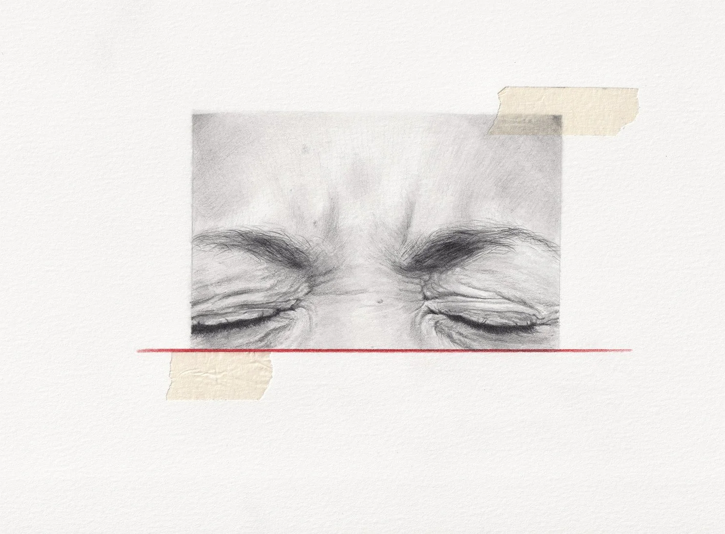 eyes closed-anatomy.jpg