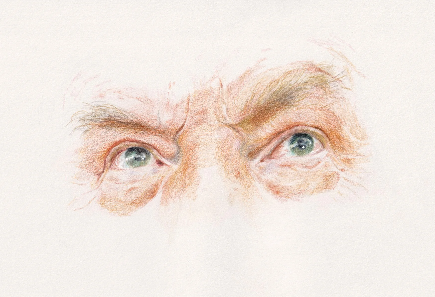 trump+eyes+web.jpg