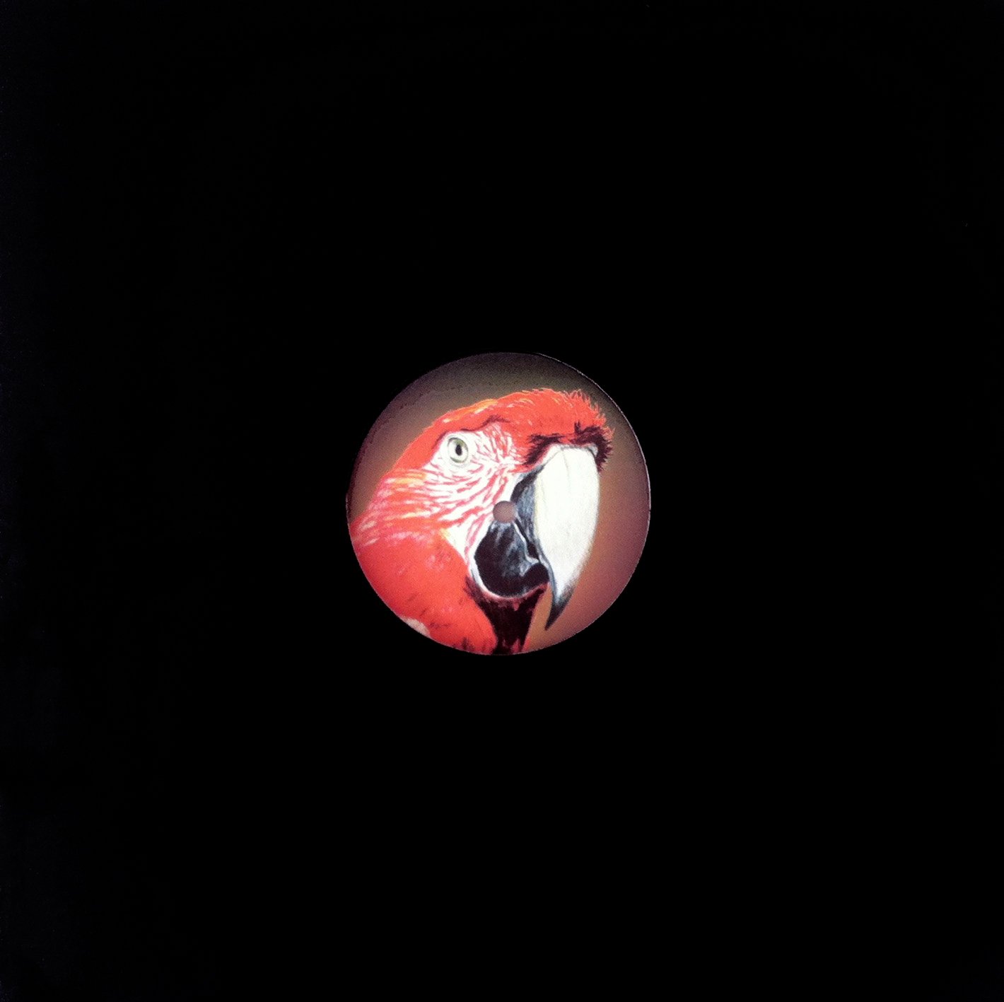 irislegendre-site-deviant disco vinyl ok copie.jpg