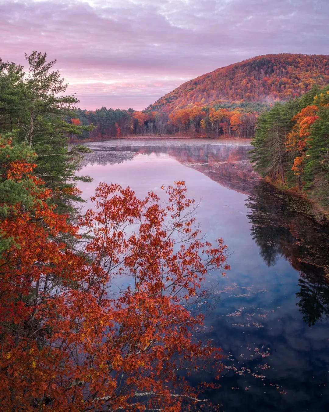 Cranberry Pond - Sunderland, MA