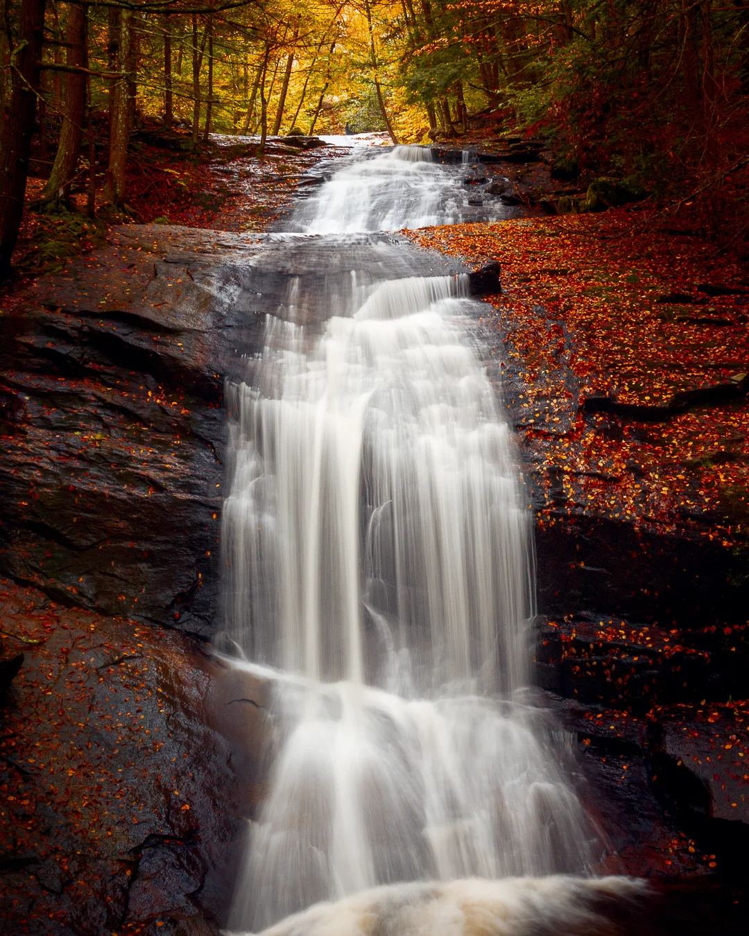 Fall at Chapel Falls - Ashfield, MA