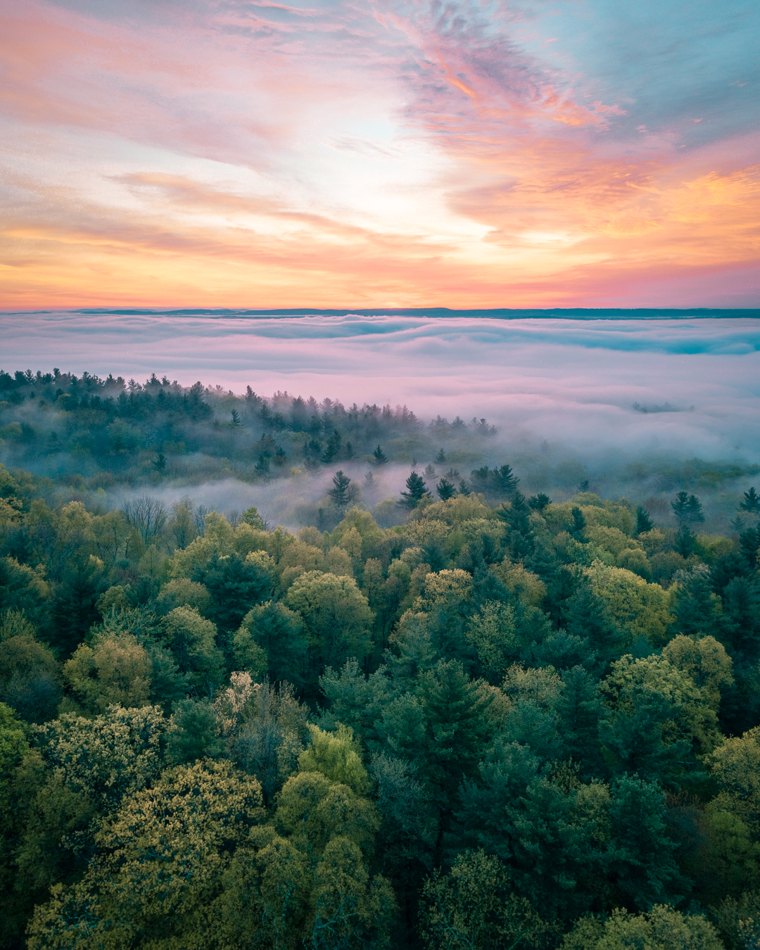 Foggy sunrise in Western Massachusetts