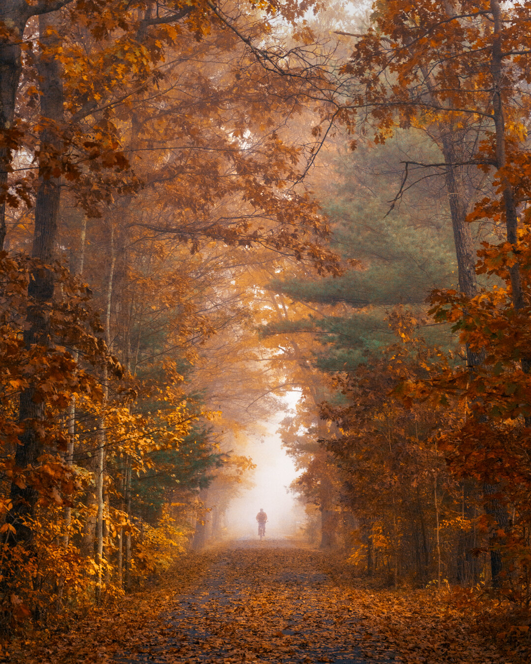 Fall at the Norwottuck Rail Trail