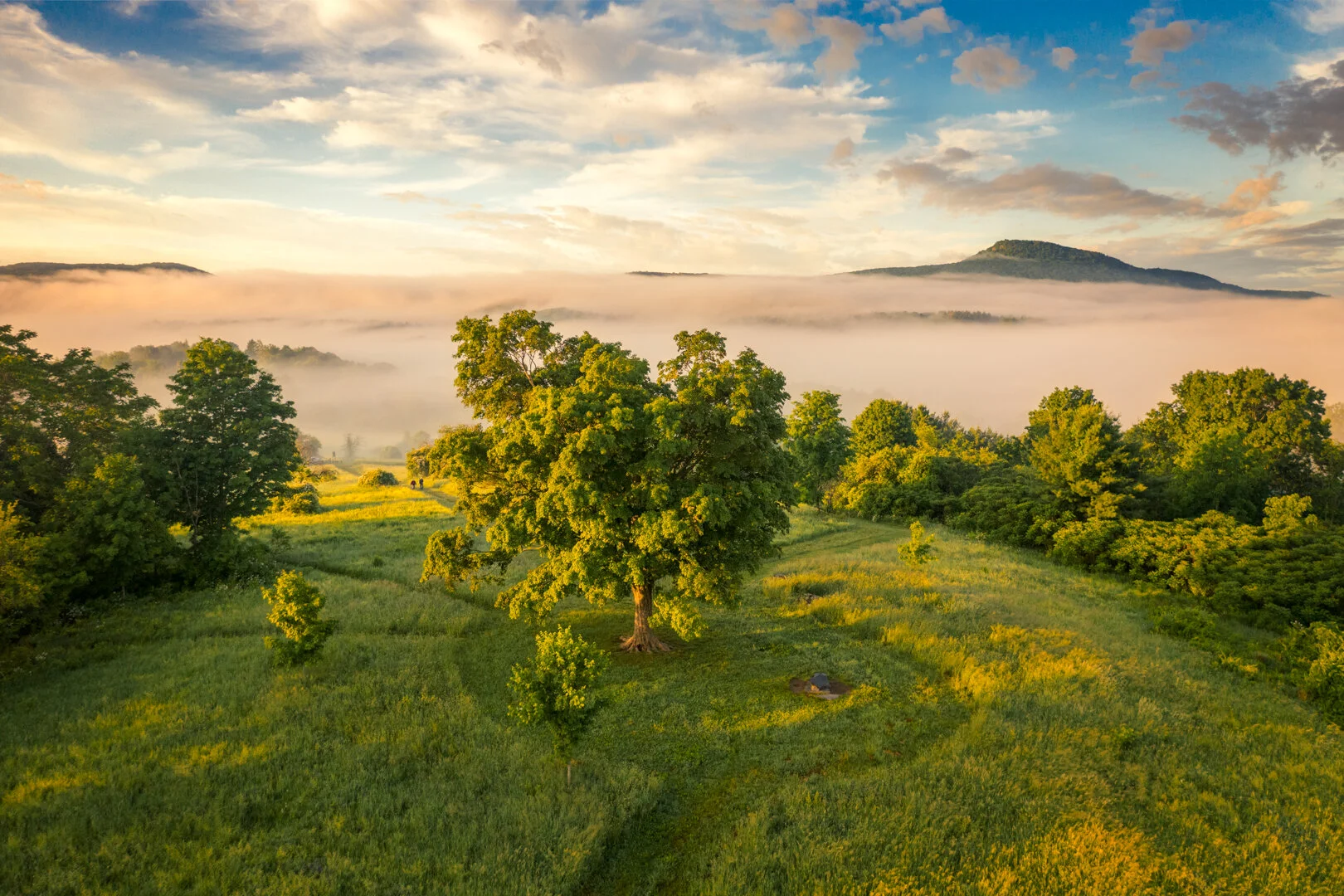 Mt. Pollux Conservation Area