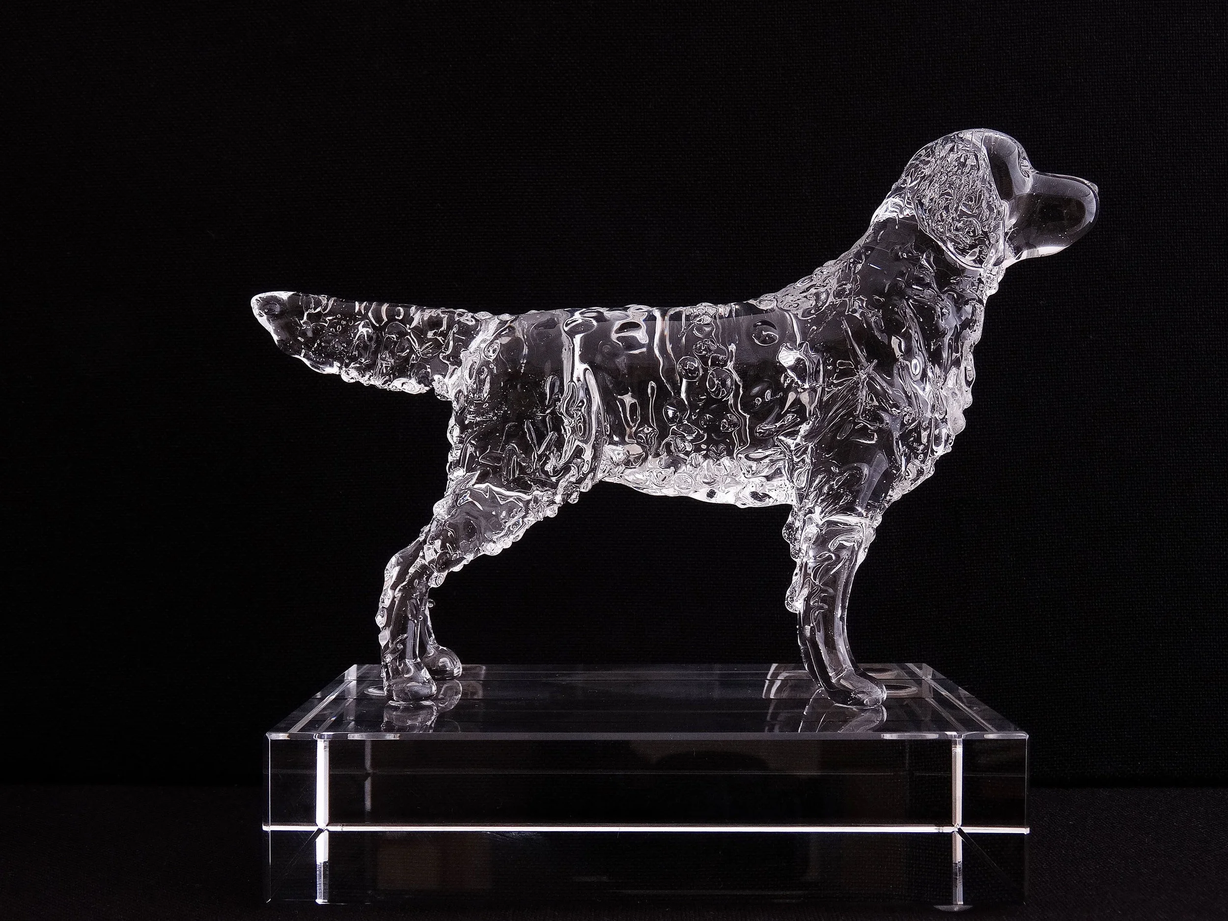 goldie rectangle.JPG