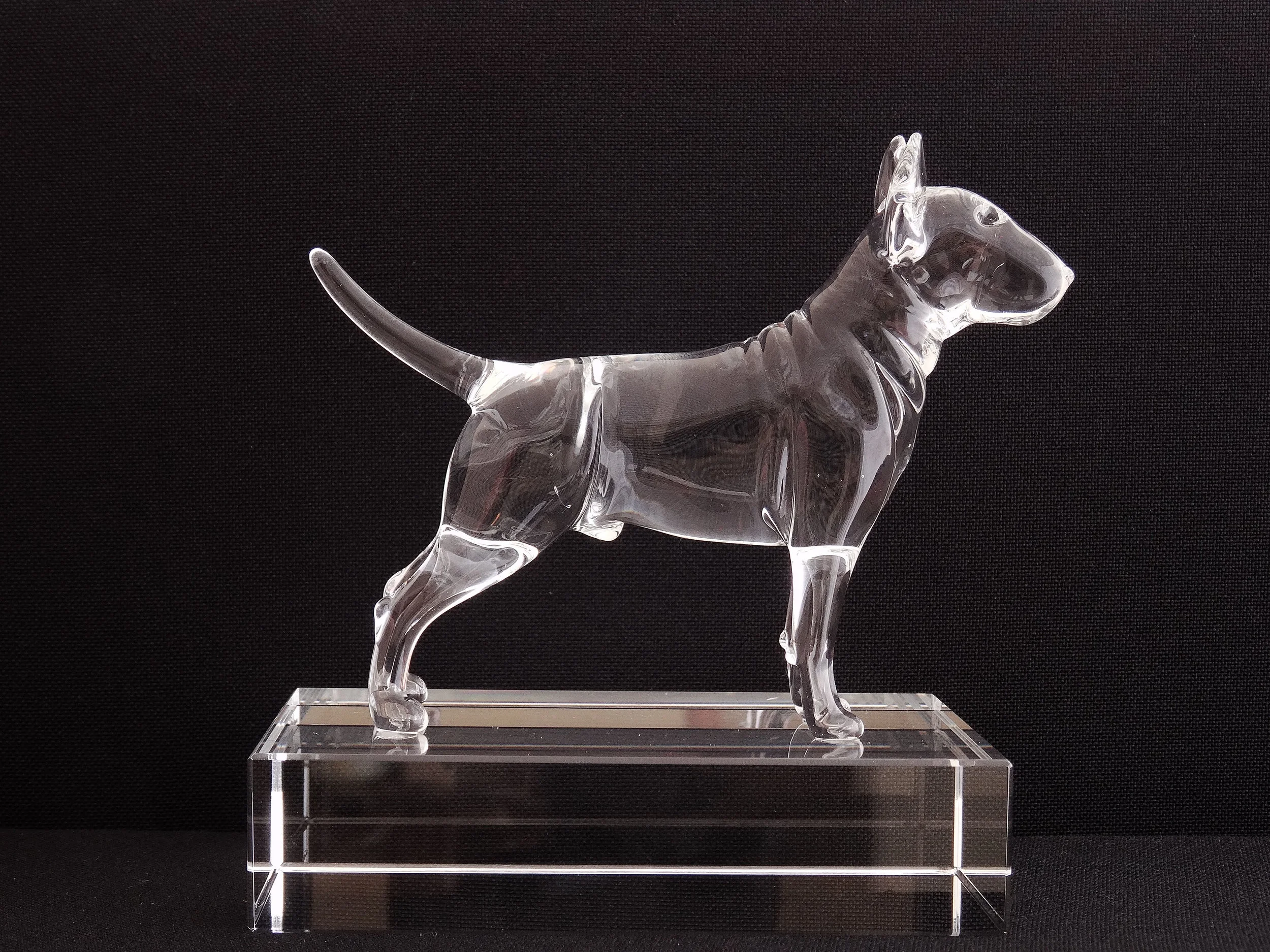 English Bull Terrier 