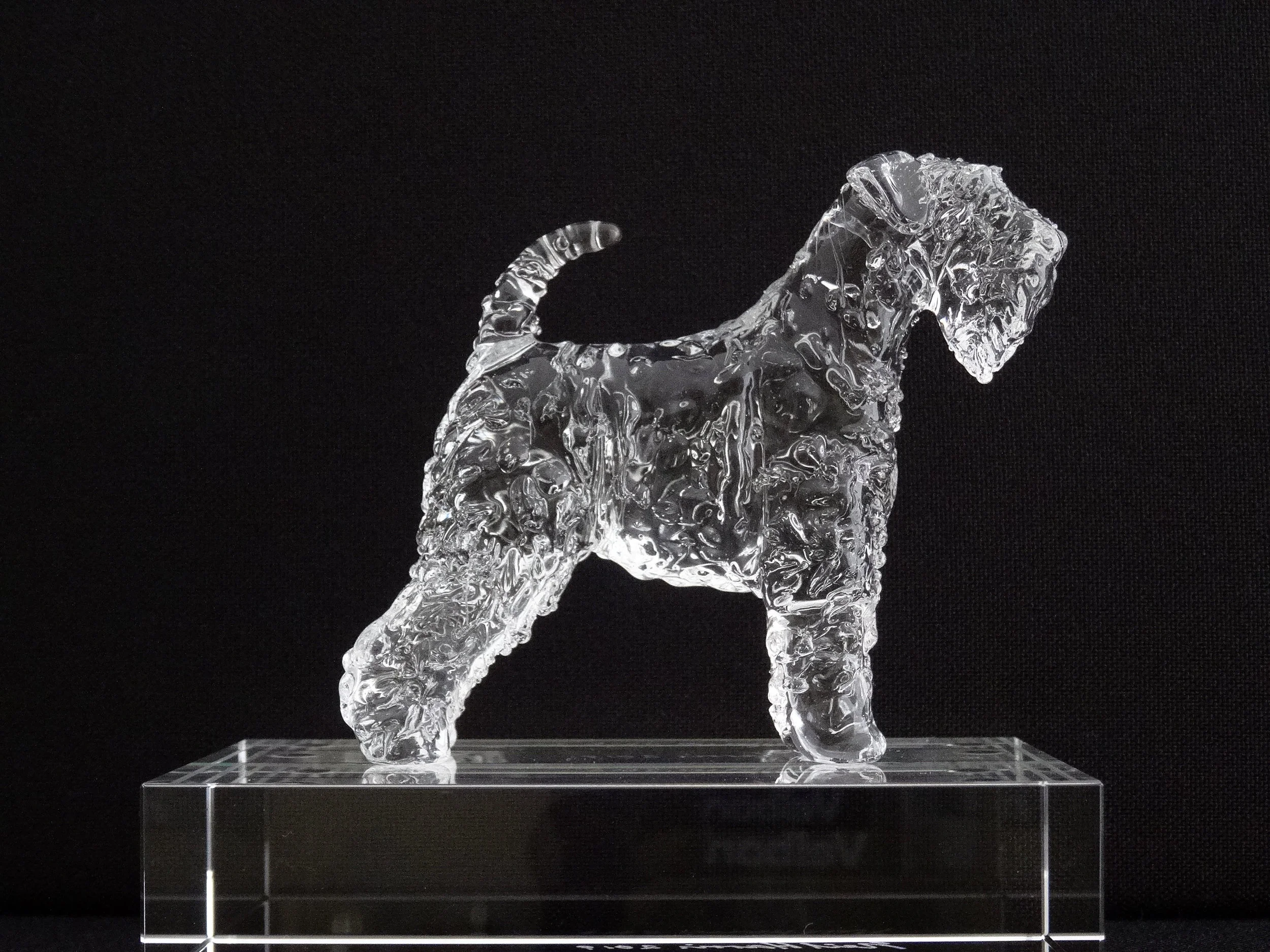 Soft-coated Wheaten Terrier 