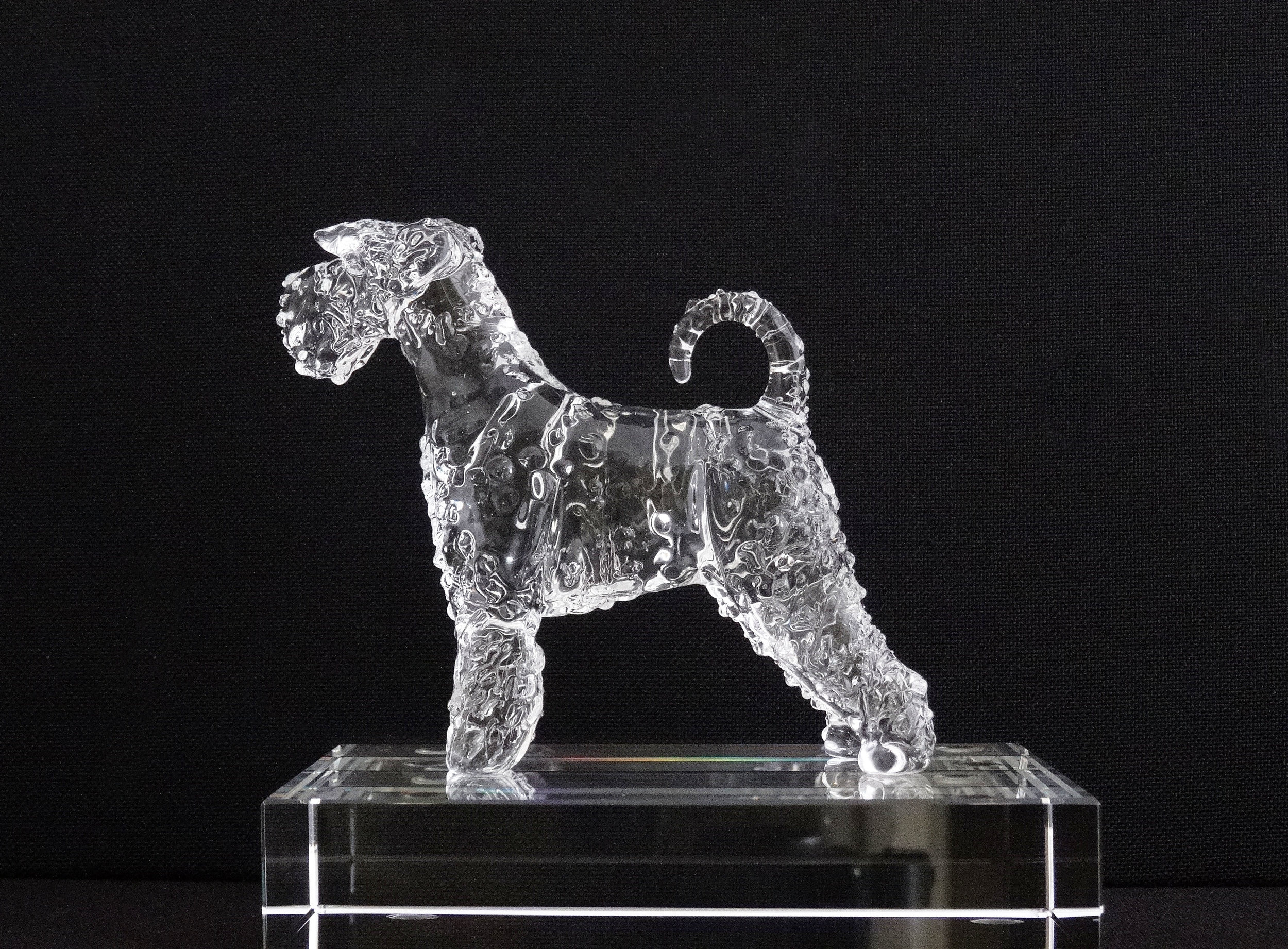 schnauzer w tail 2.JPG