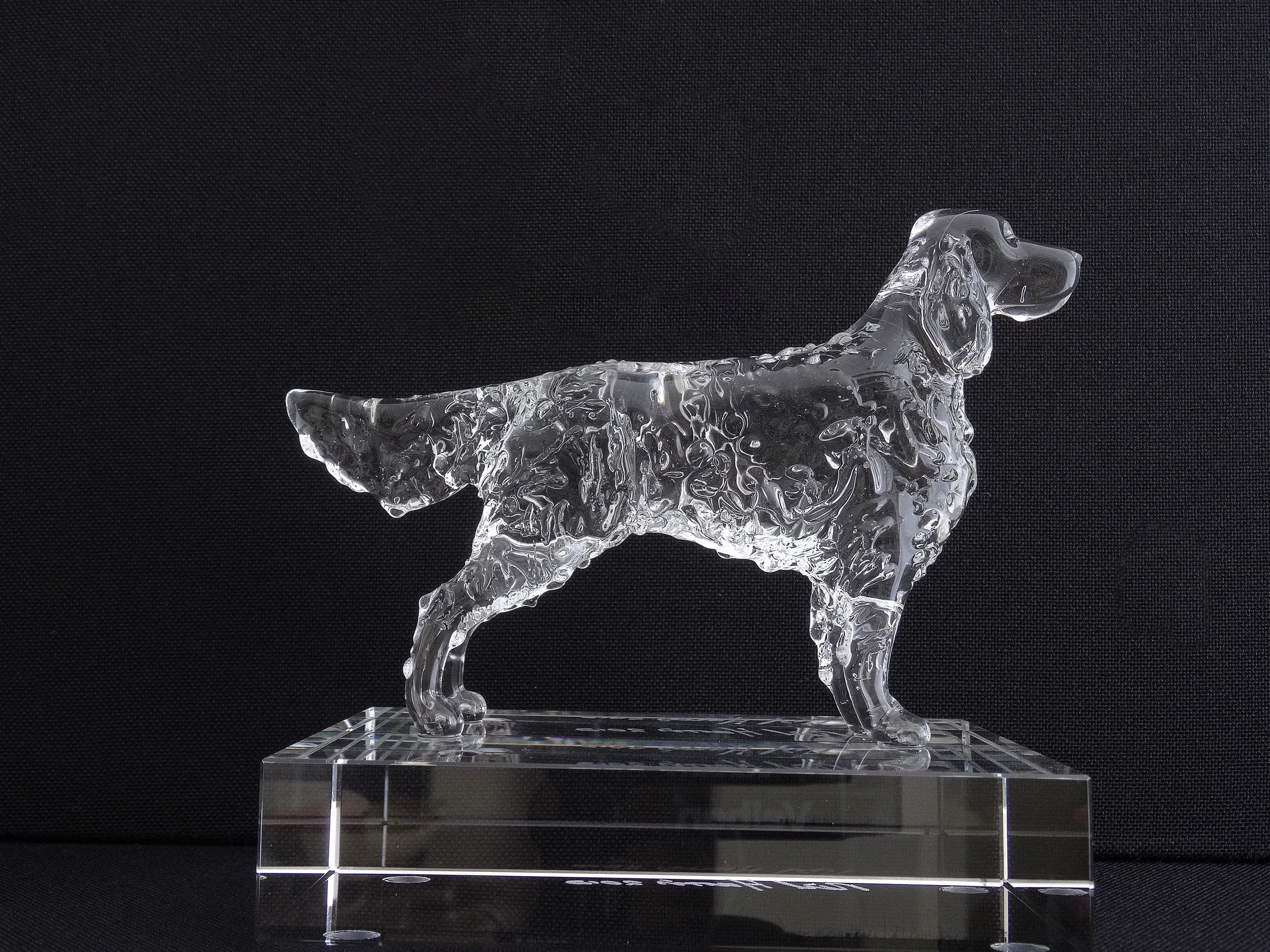 English Setter