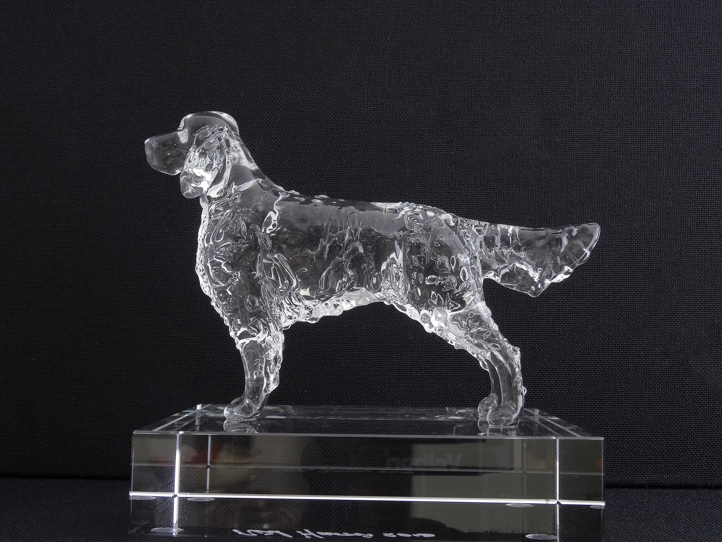 ENGLISH SETTER 2.JPG