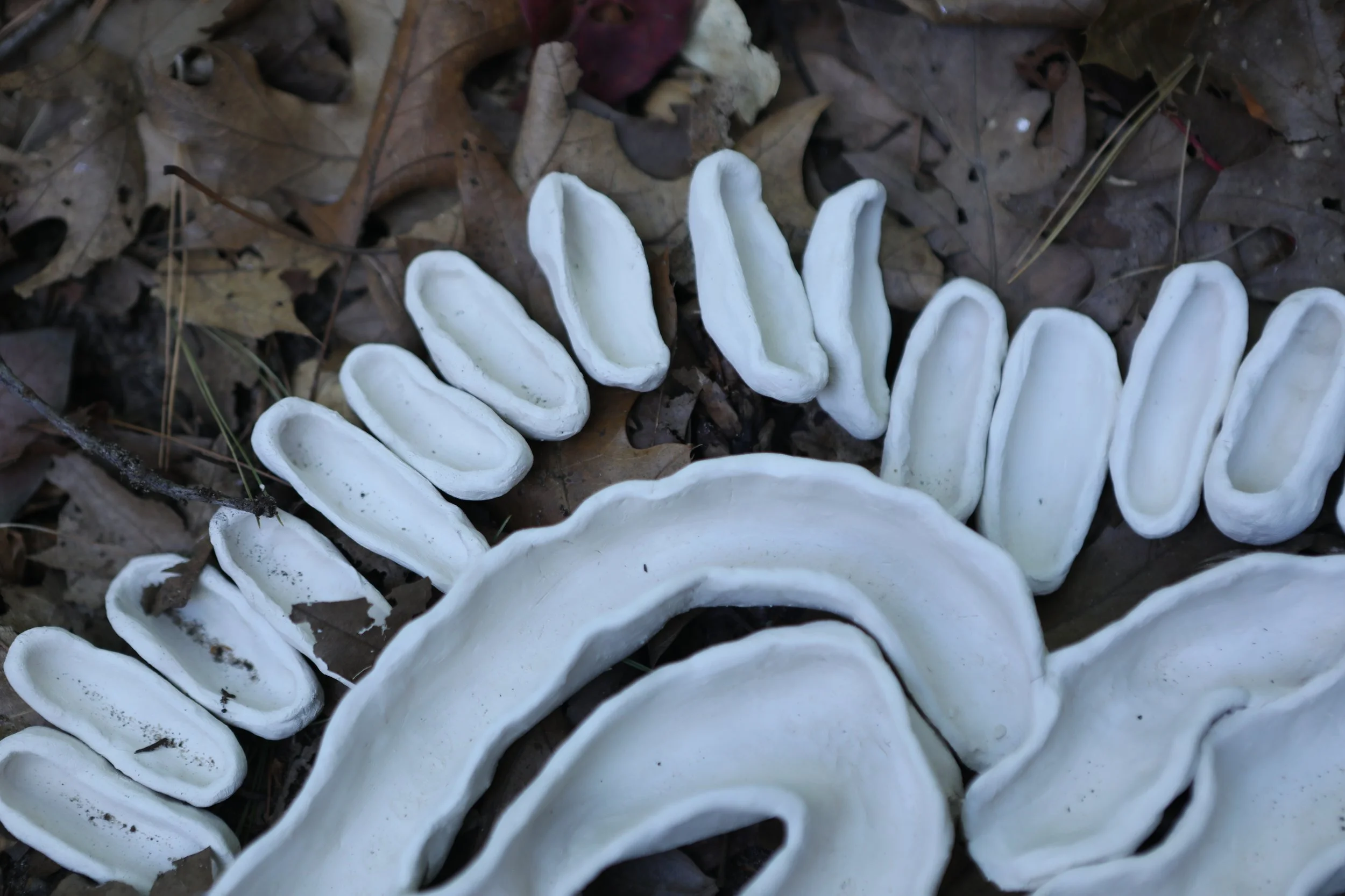 What Came Before I (close up)