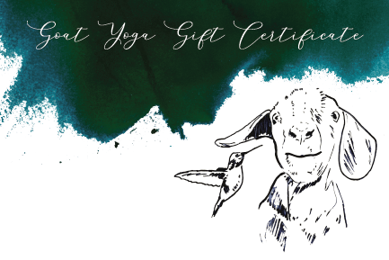 serenbe - goat-05.png