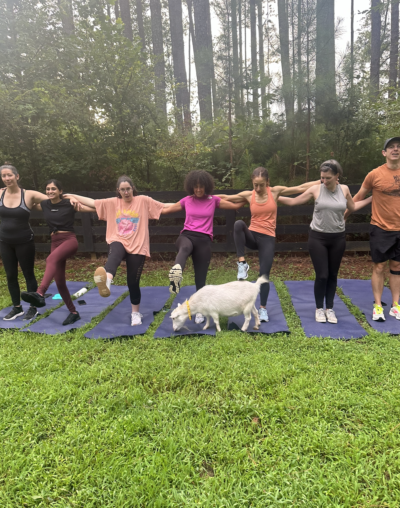 Serenbe Goat Yoga - July 25