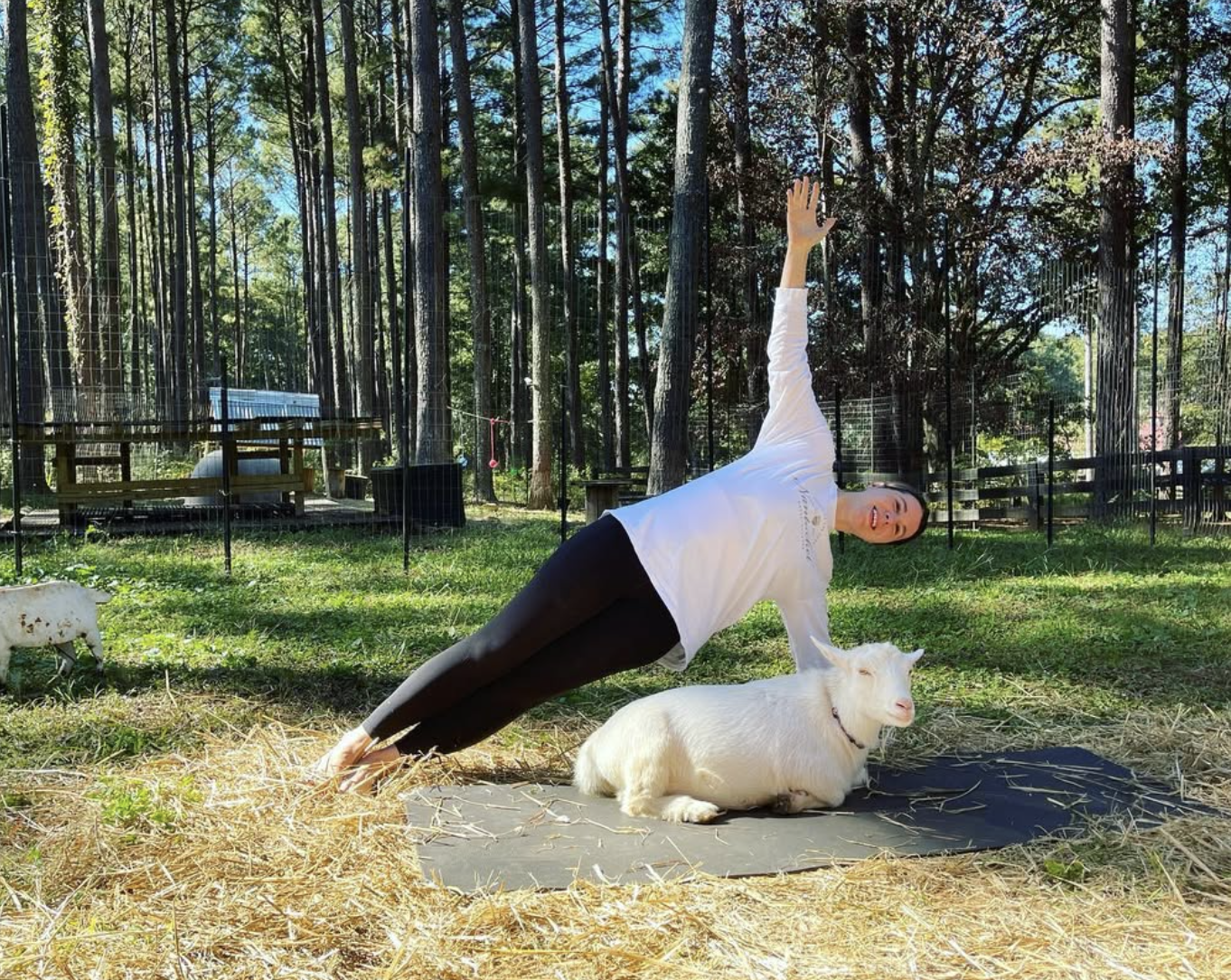 Screenshot 2026-01-14 at 10.07.33 PM.png