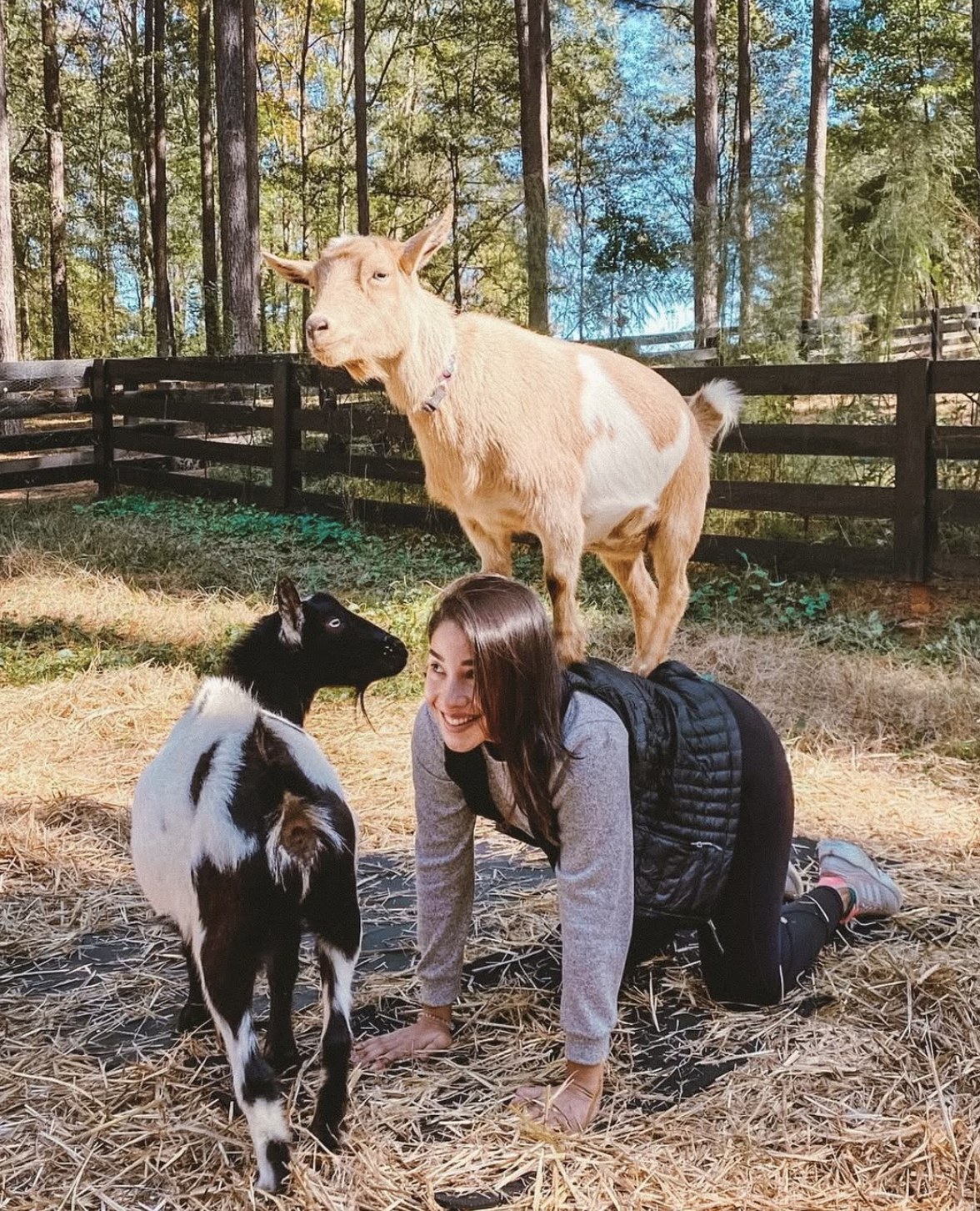 Serenbe Goat Yoga - TEST