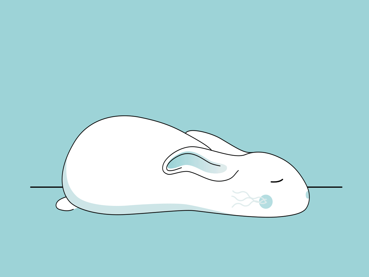 Bunny_GIF-2.gif