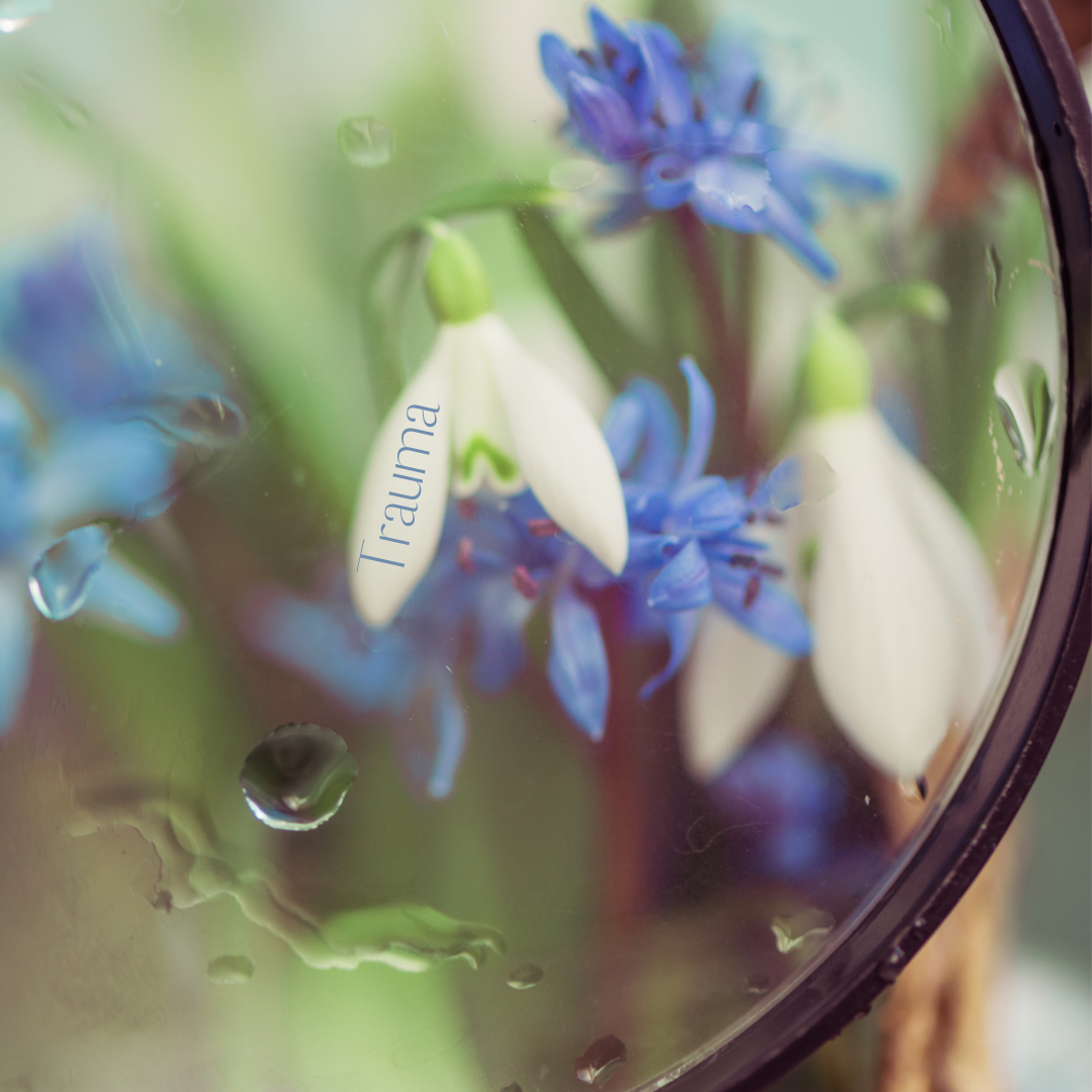 Looking Through a Trauma-Informed Lens