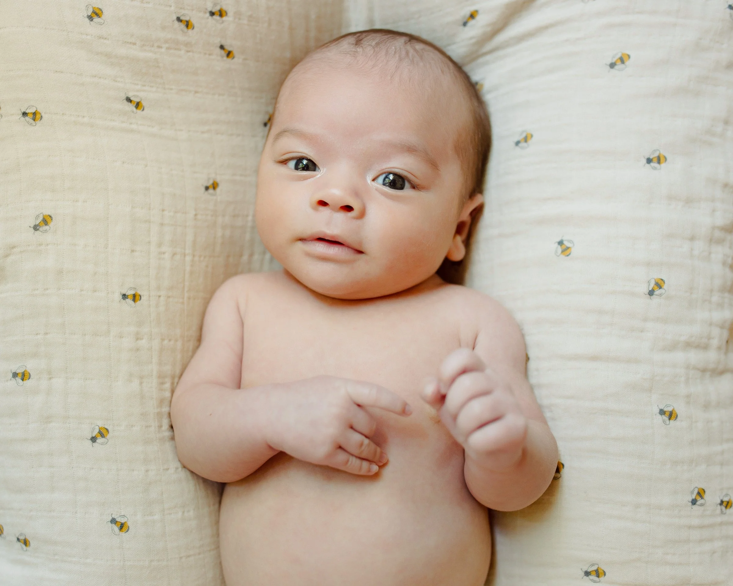 best minneapolis home newborn photographer
