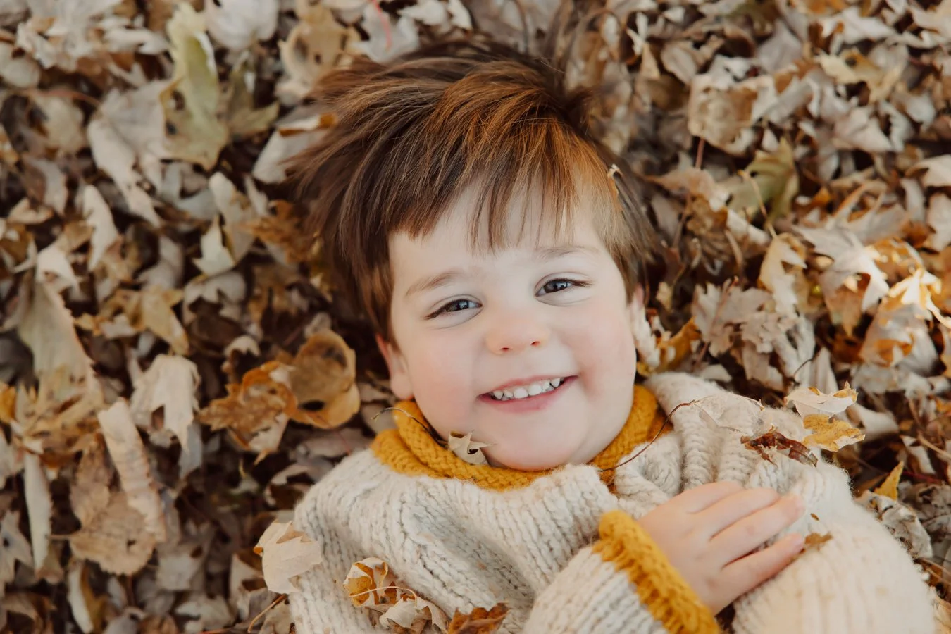 fall family photographer portraits minneapolis