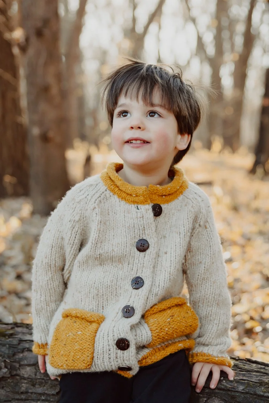 best minneapolis family portrait photographer