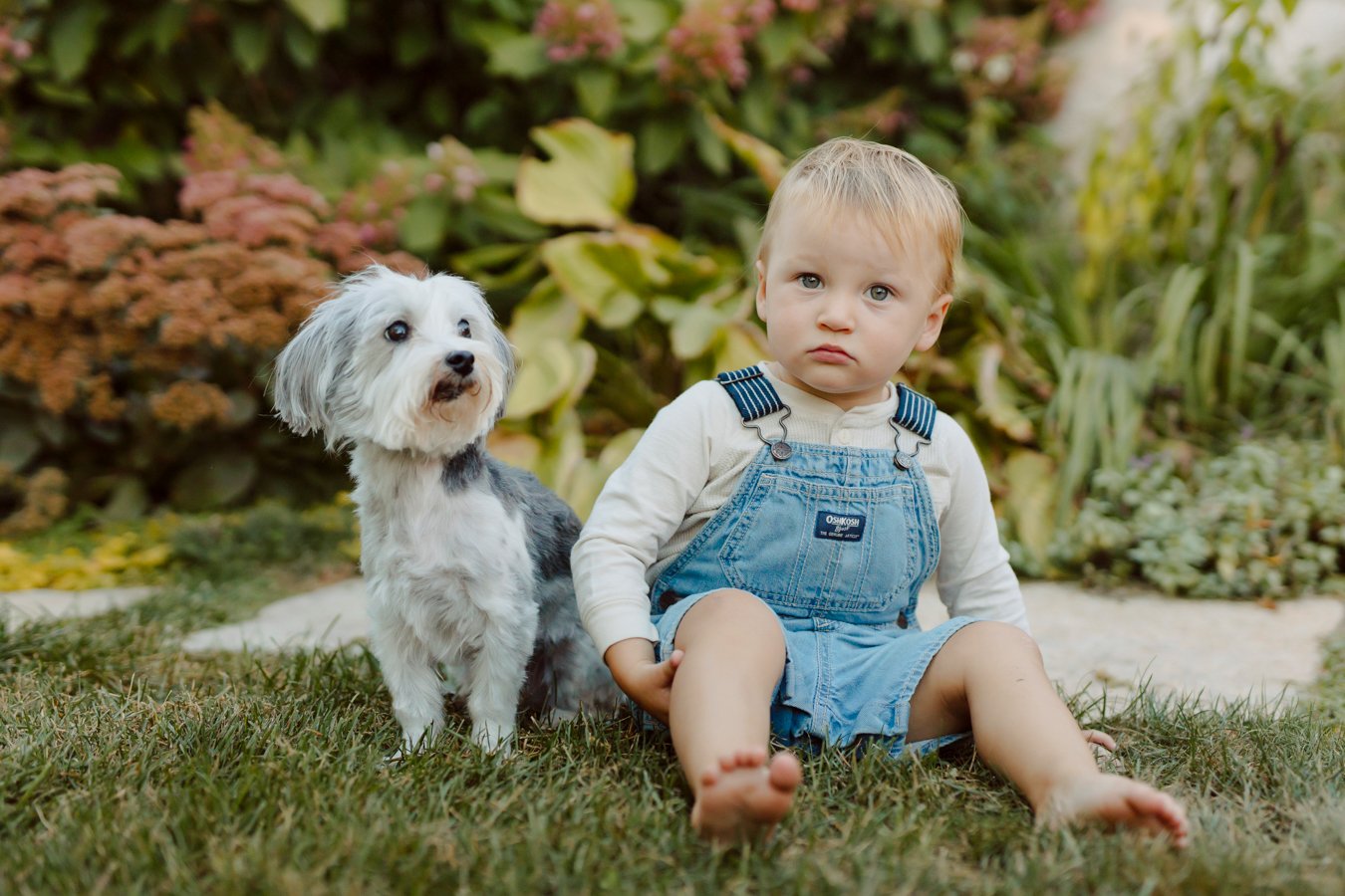 home family photographer minneapolis