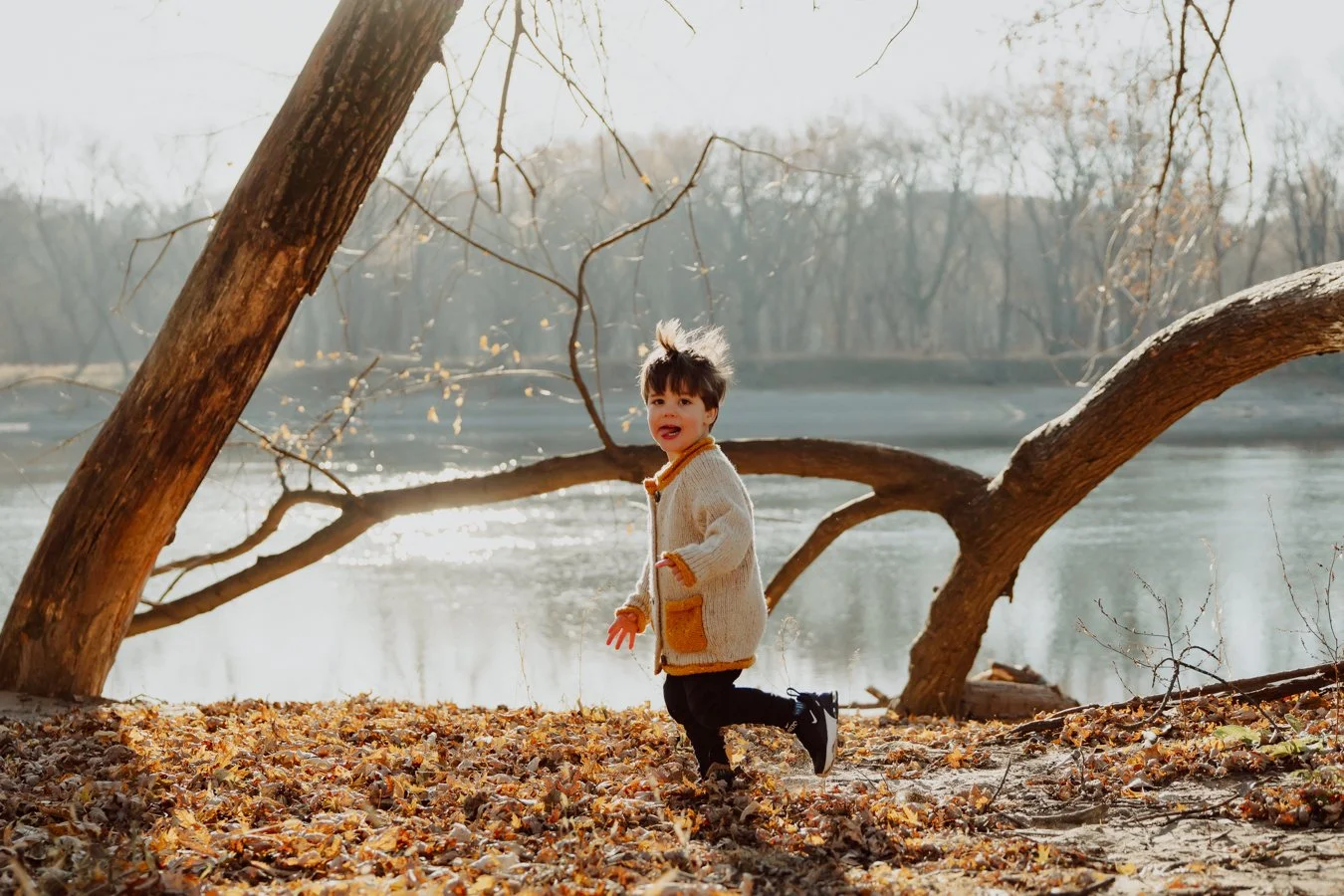 candid fall family photos minneapolis