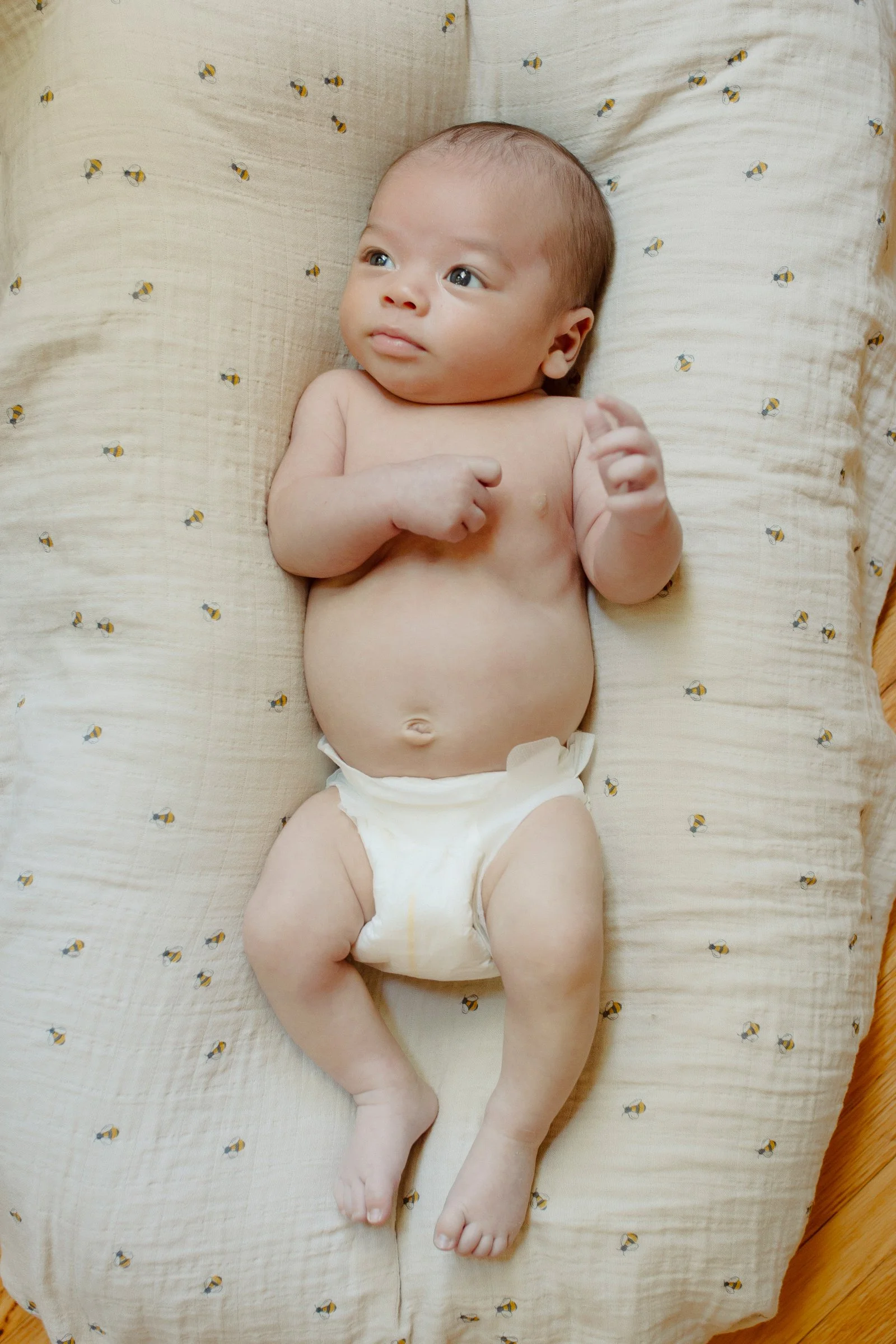 best minneapolis home newborn photographer