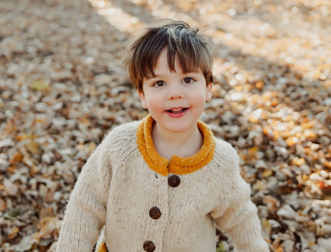 fall family photographer portraits minneapolis