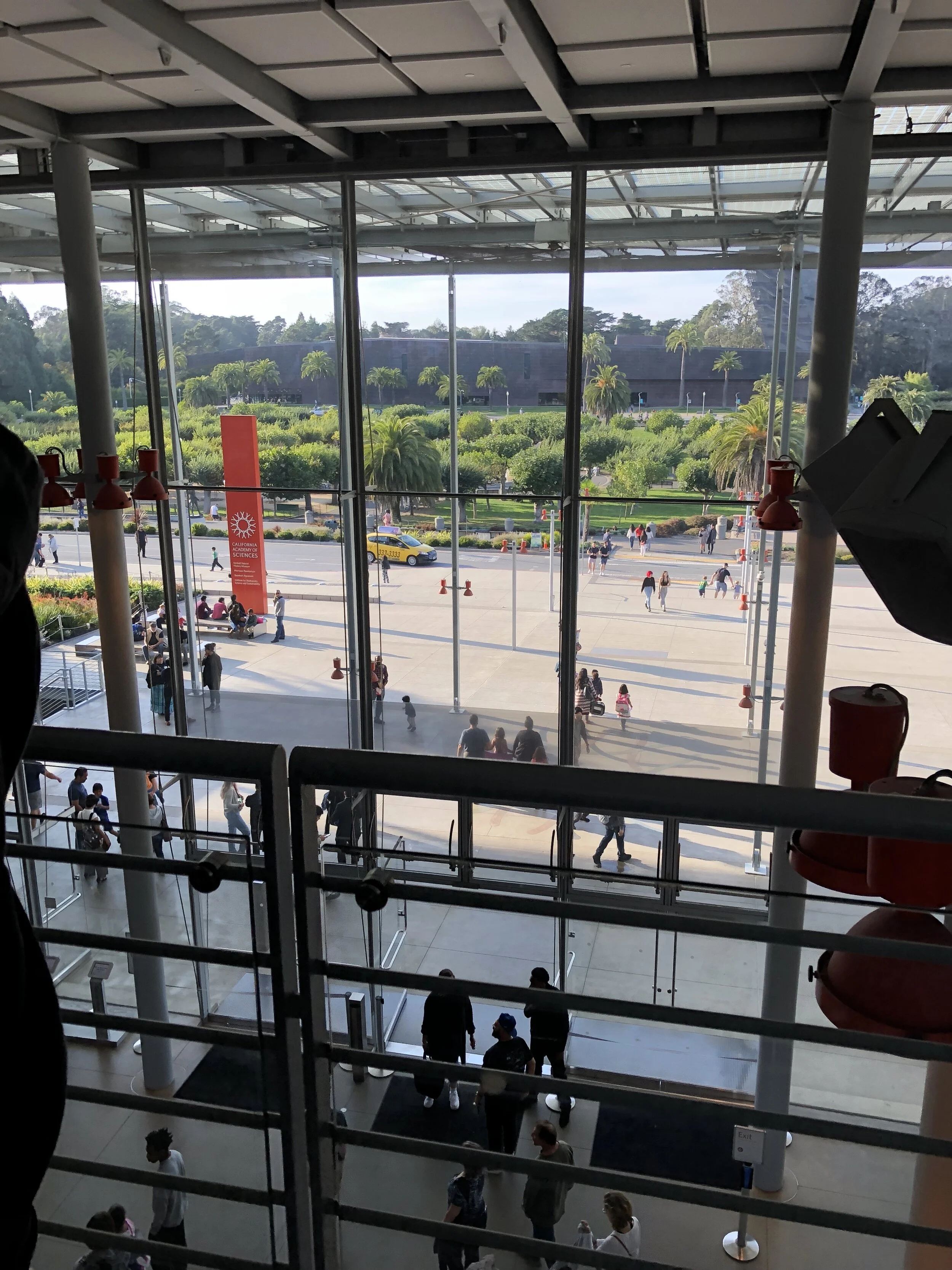 bay area outdoor on Golden Gate Park Condo Weekly