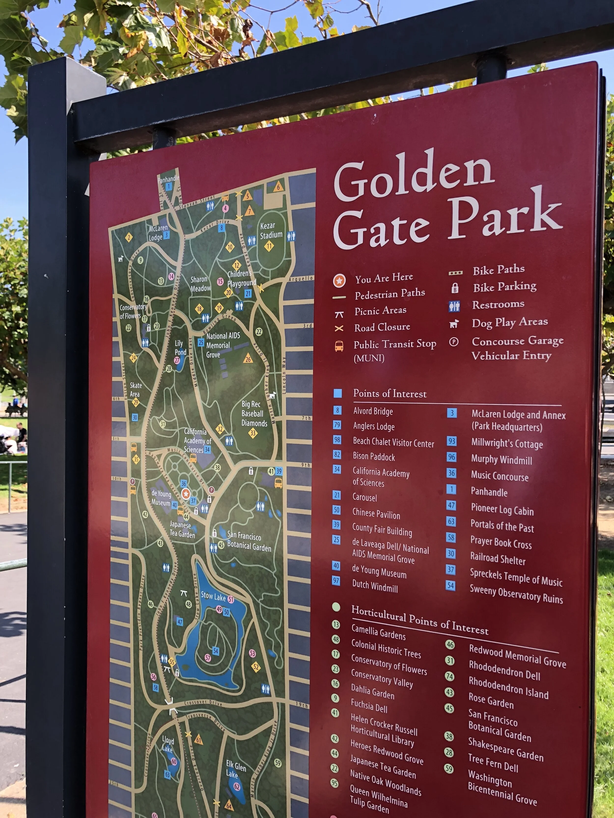 bay area outdoor on Golden Gate Park Condo Weekly