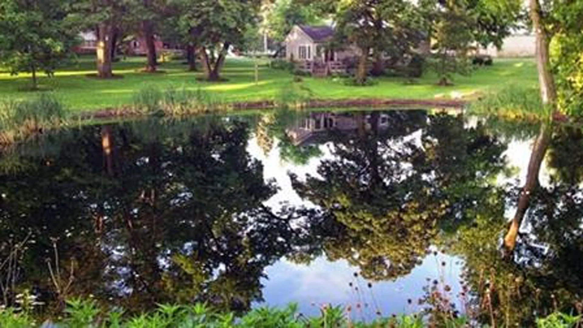 Calming water features create a tranquil respite for McCannon Farm's developmentally disabled visitors.