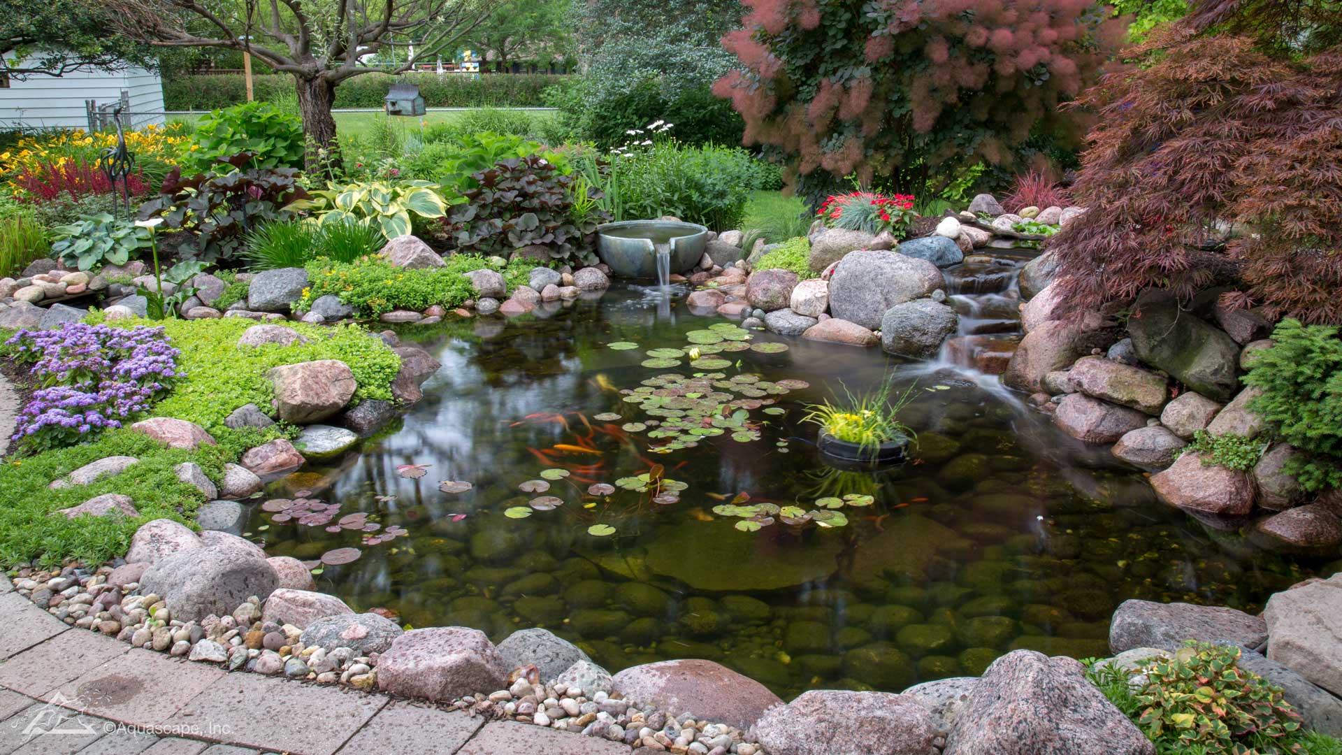   ECOSYSTEM PONDS  