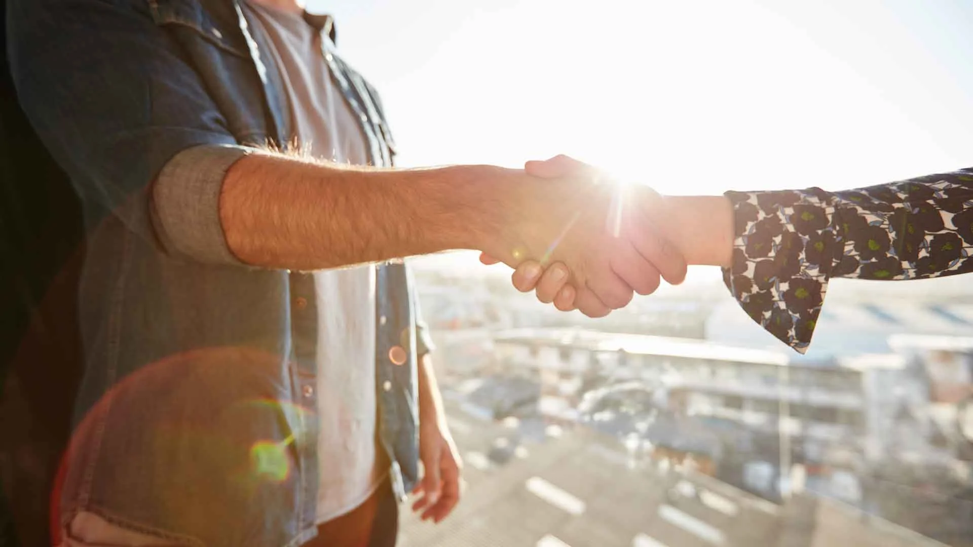 Auburn-Sky-Landscaping-Handshake.jpg